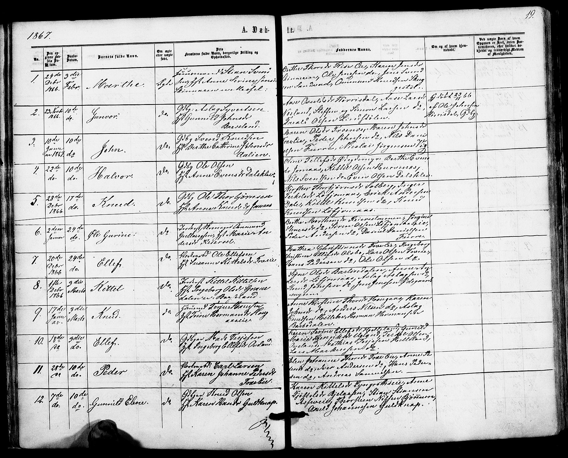 Froland sokneprestkontor, AV/SAK-1111-0013/F/Fa/L0003: Parish register (official) no. A 3, 1864-1881, p. 19