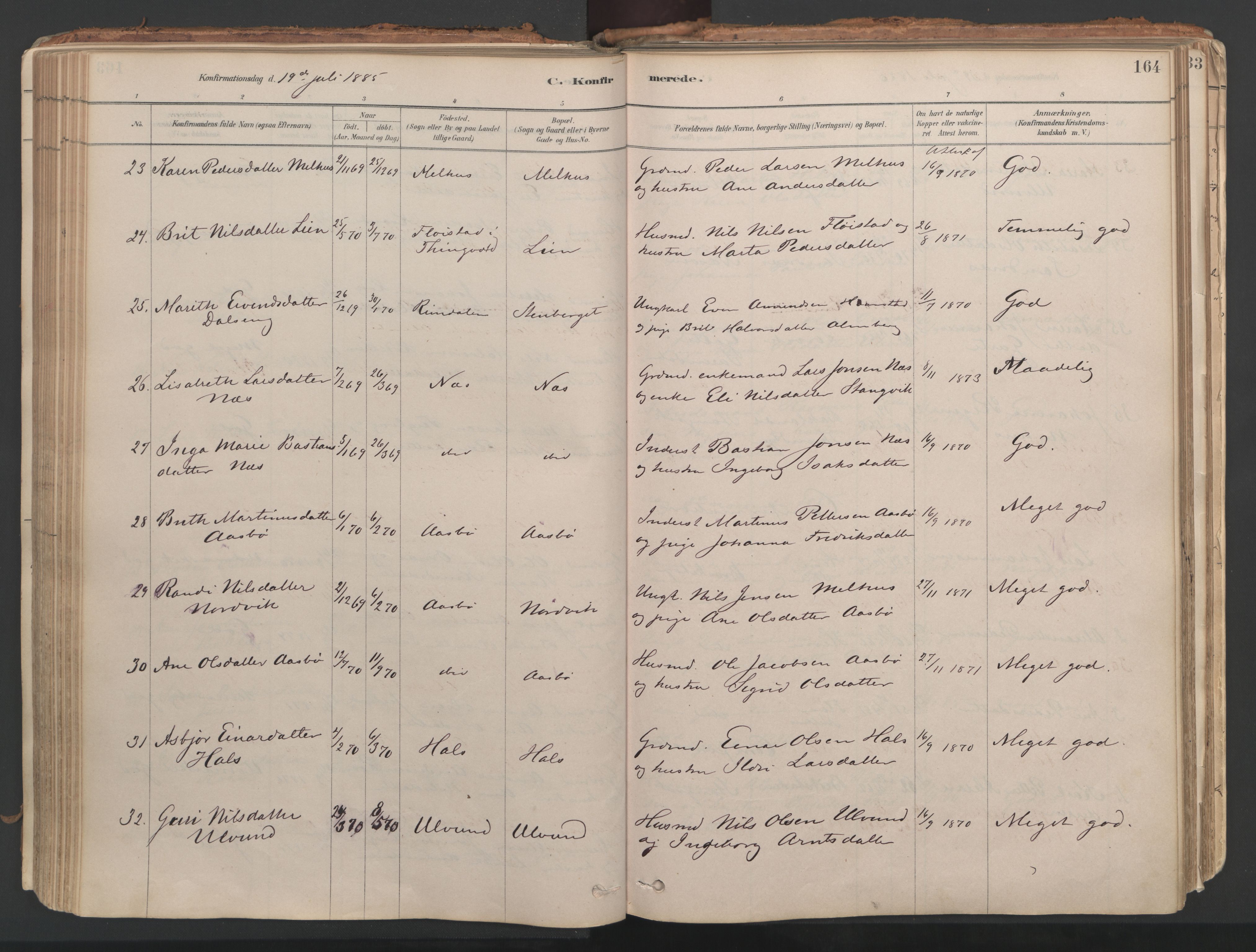 Ministerialprotokoller, klokkerbøker og fødselsregistre - Møre og Romsdal, AV/SAT-A-1454/592/L1029: Parish register (official) no. 592A07, 1879-1902, p. 164