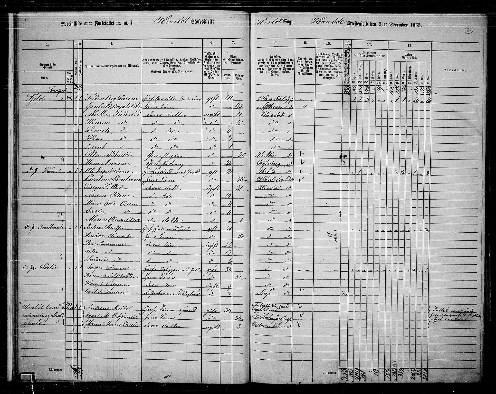 RA, 1865 census for Hobøl, 1865, p. 21