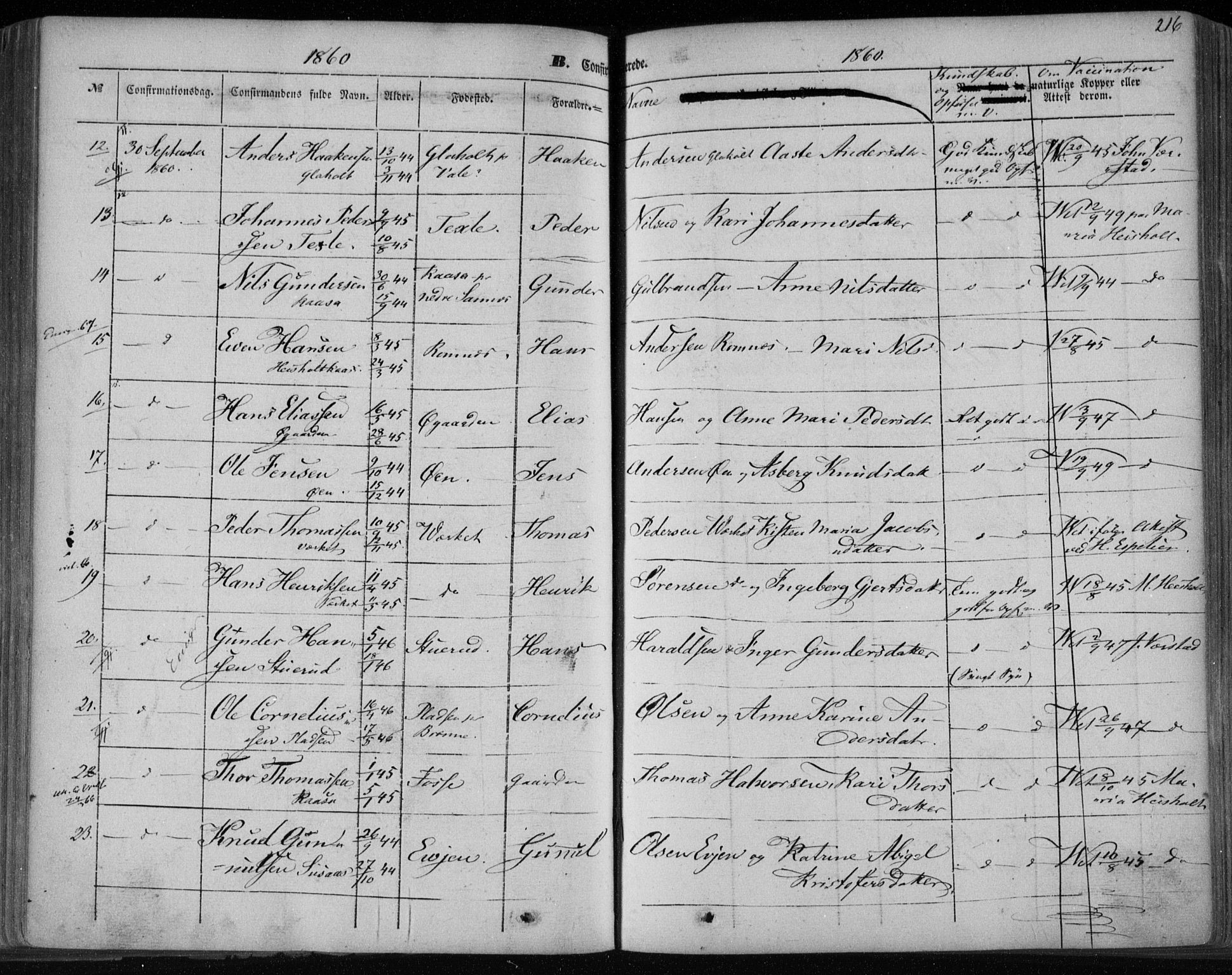 Holla kirkebøker, SAKO/A-272/F/Fa/L0005: Parish register (official) no. 5, 1849-1860, p. 216
