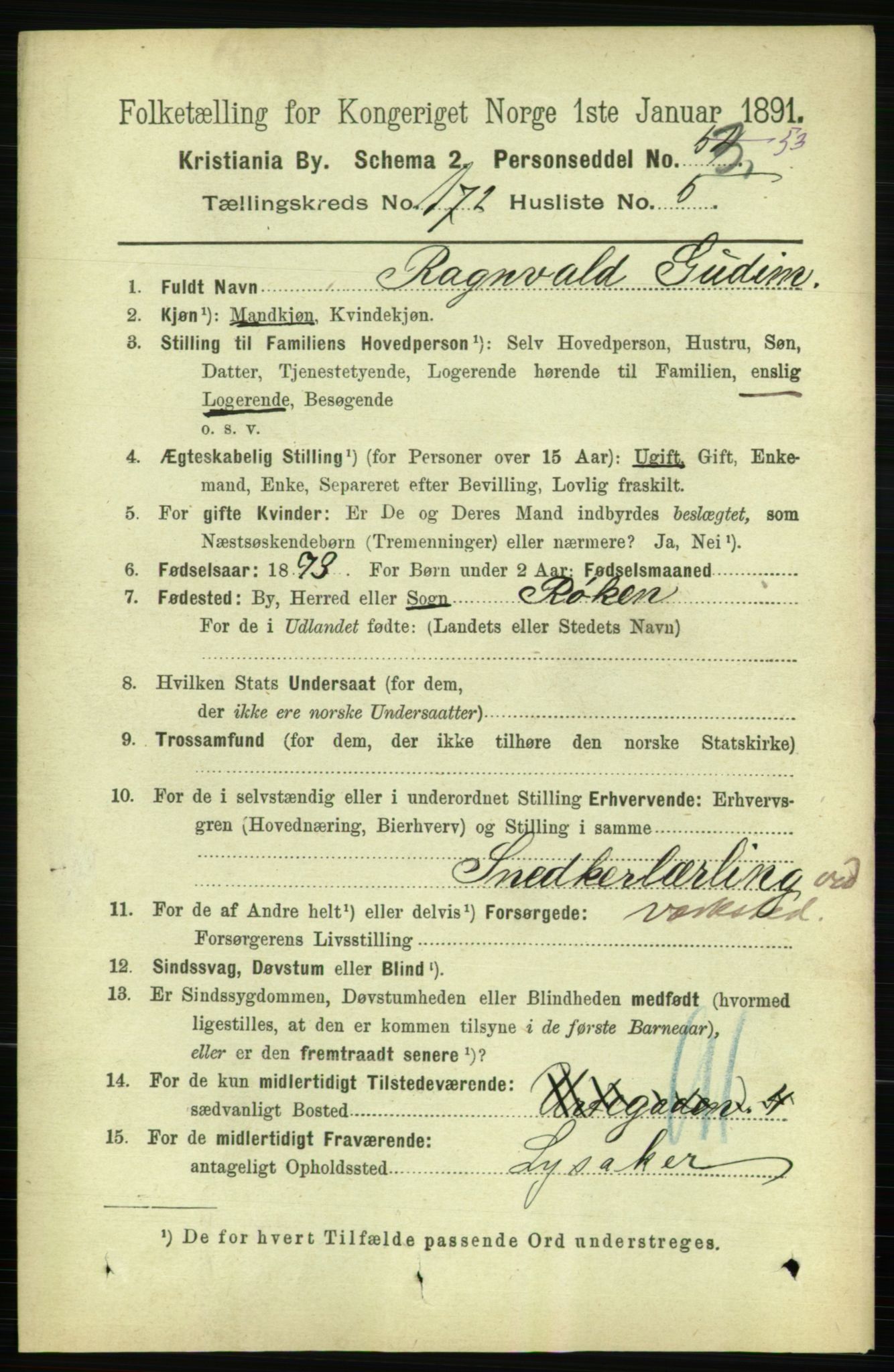 RA, 1891 census for 0301 Kristiania, 1891, p. 102005