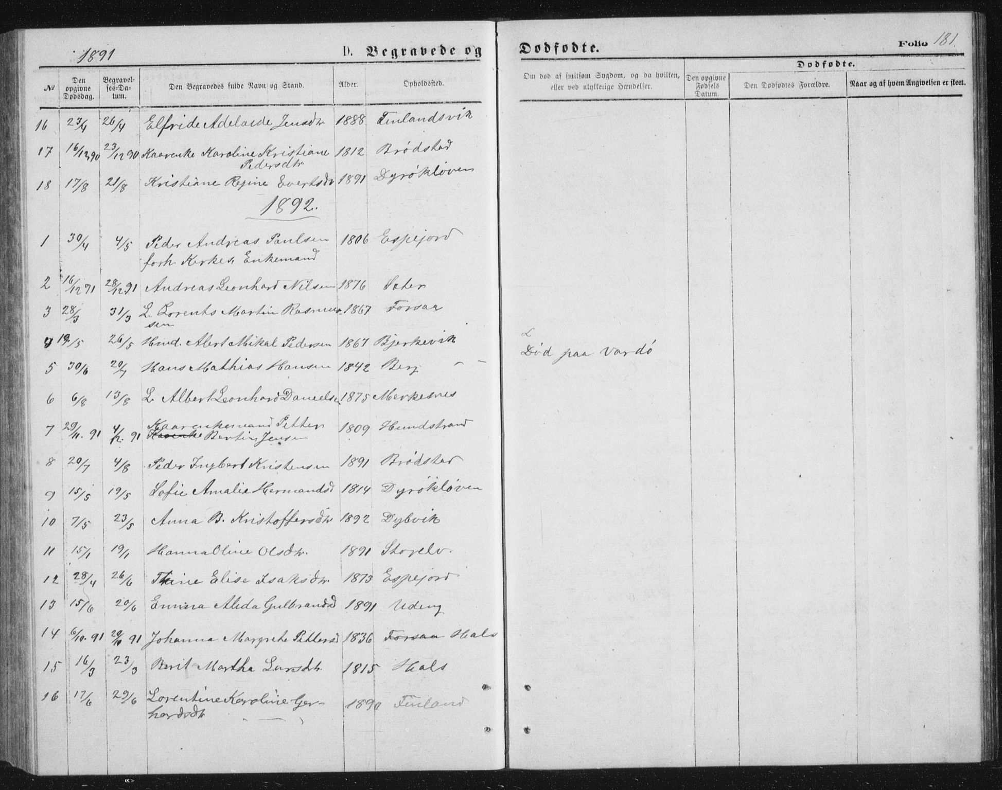 Tranøy sokneprestkontor, SATØ/S-1313/I/Ia/Iab/L0013klokker: Parish register (copy) no. 13, 1874-1896, p. 181