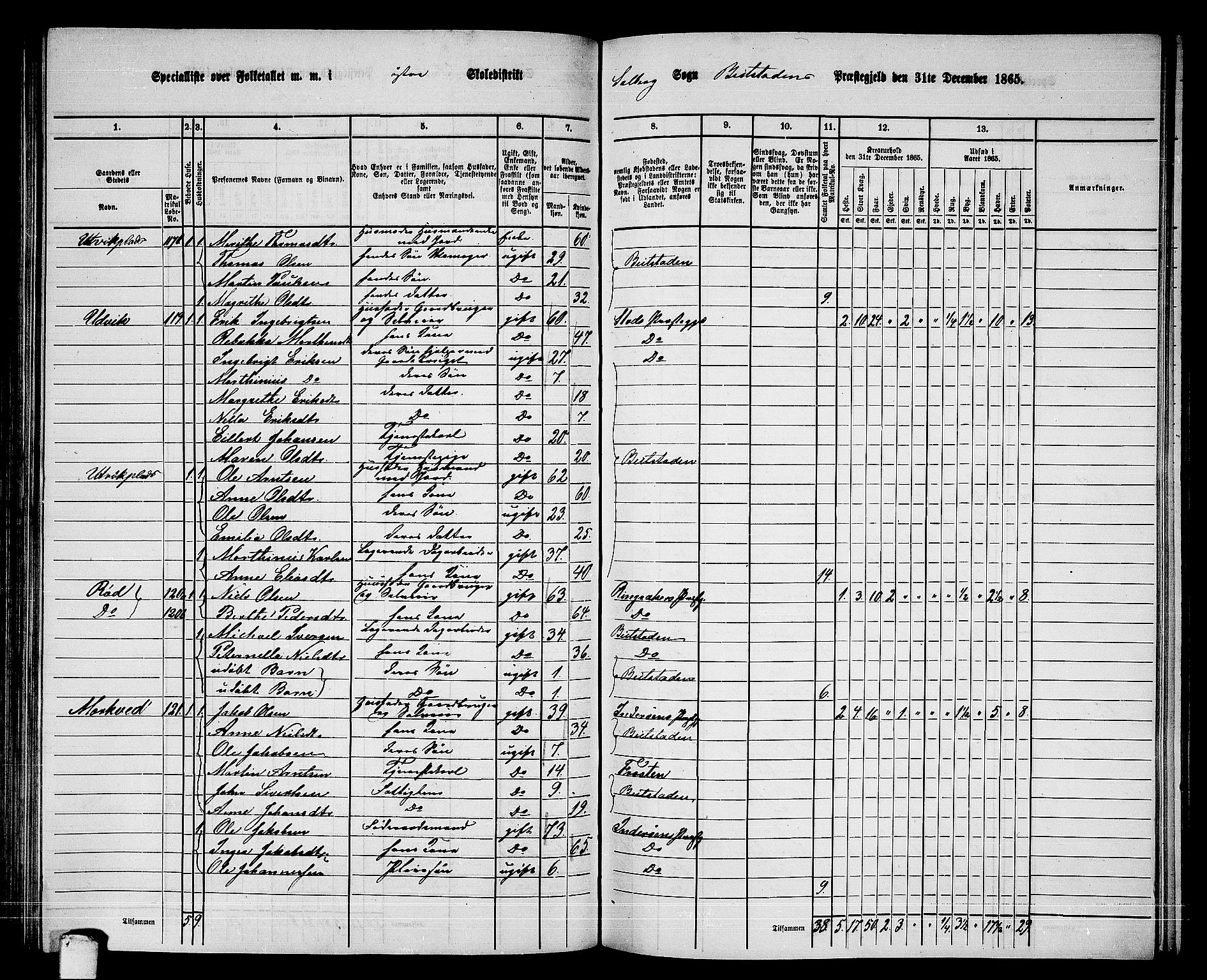 RA, 1865 census for Beitstad, 1865, p. 110