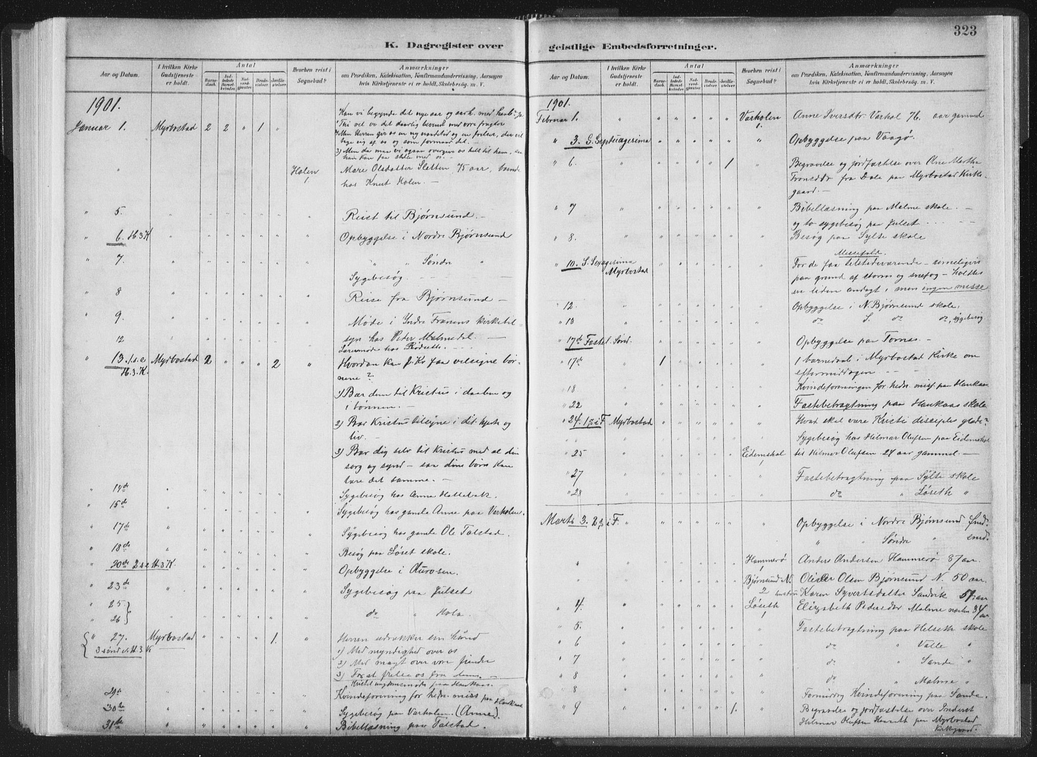 Ministerialprotokoller, klokkerbøker og fødselsregistre - Møre og Romsdal, AV/SAT-A-1454/564/L0740: Parish register (official) no. 564A01, 1880-1899, p. 323