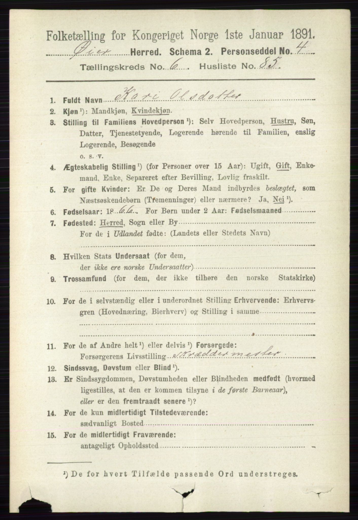 RA, 1891 census for 0521 Øyer, 1891, p. 2438