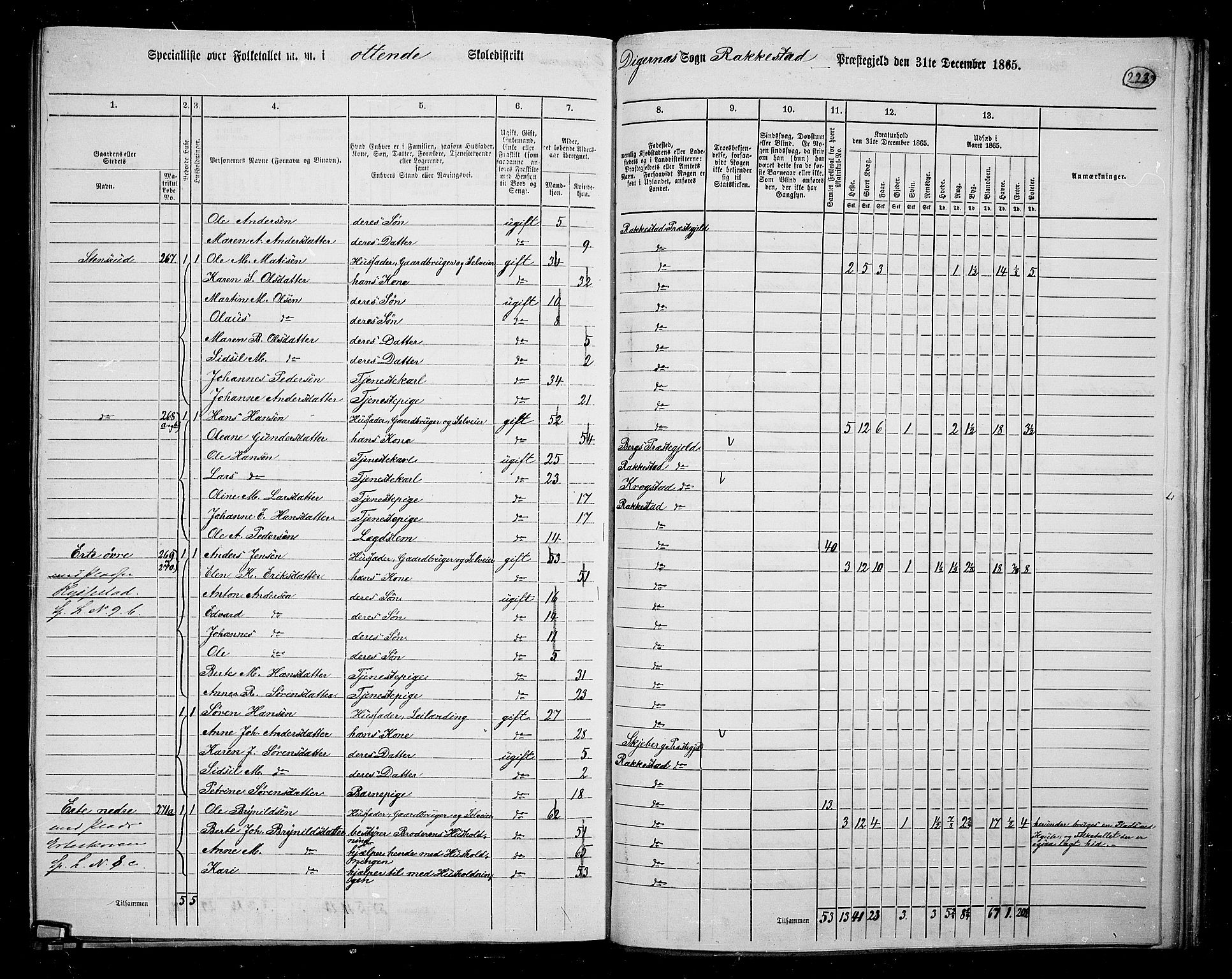 RA, 1865 census for Rakkestad, 1865, p. 214