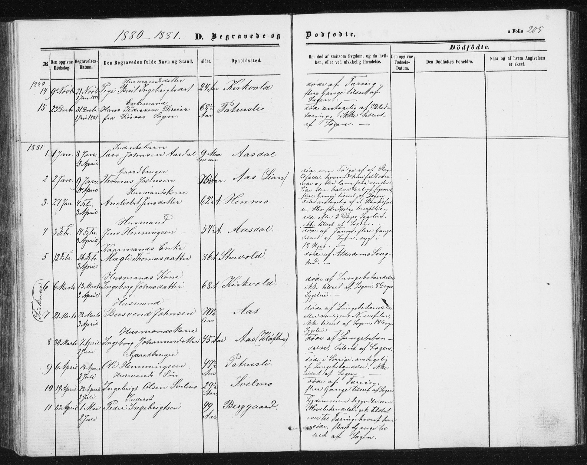Ministerialprotokoller, klokkerbøker og fødselsregistre - Sør-Trøndelag, SAT/A-1456/698/L1166: Parish register (copy) no. 698C03, 1861-1887, p. 205