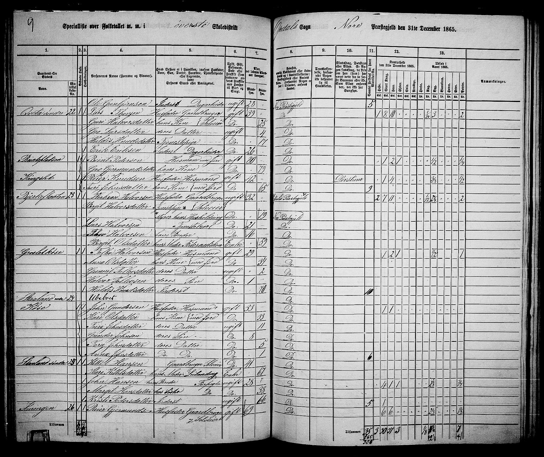 RA, 1865 census for Nore, 1865, p. 129