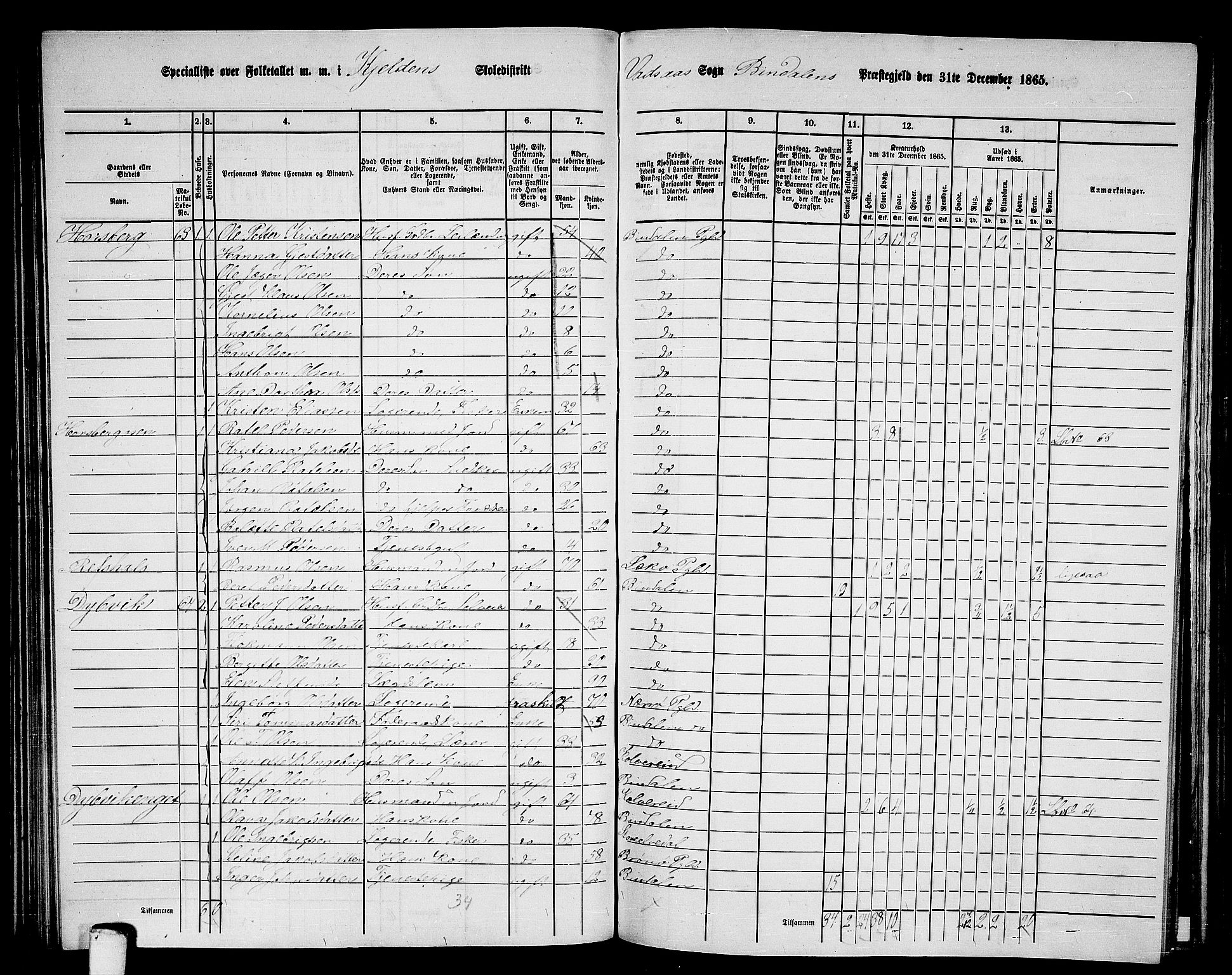 RA, 1865 census for Bindal, 1865, p. 70