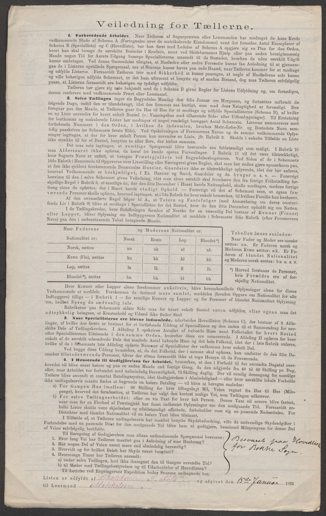 RA, 1875 census for 0116P Berg, 1875, p. 29