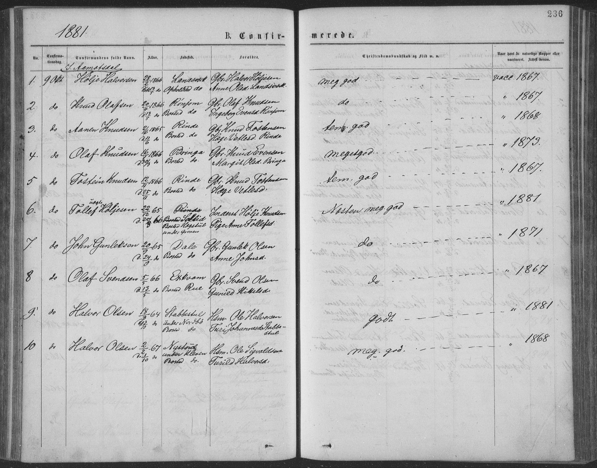 Seljord kirkebøker, SAKO/A-20/F/Fa/L0014: Parish register (official) no. I 14, 1877-1886, p. 236