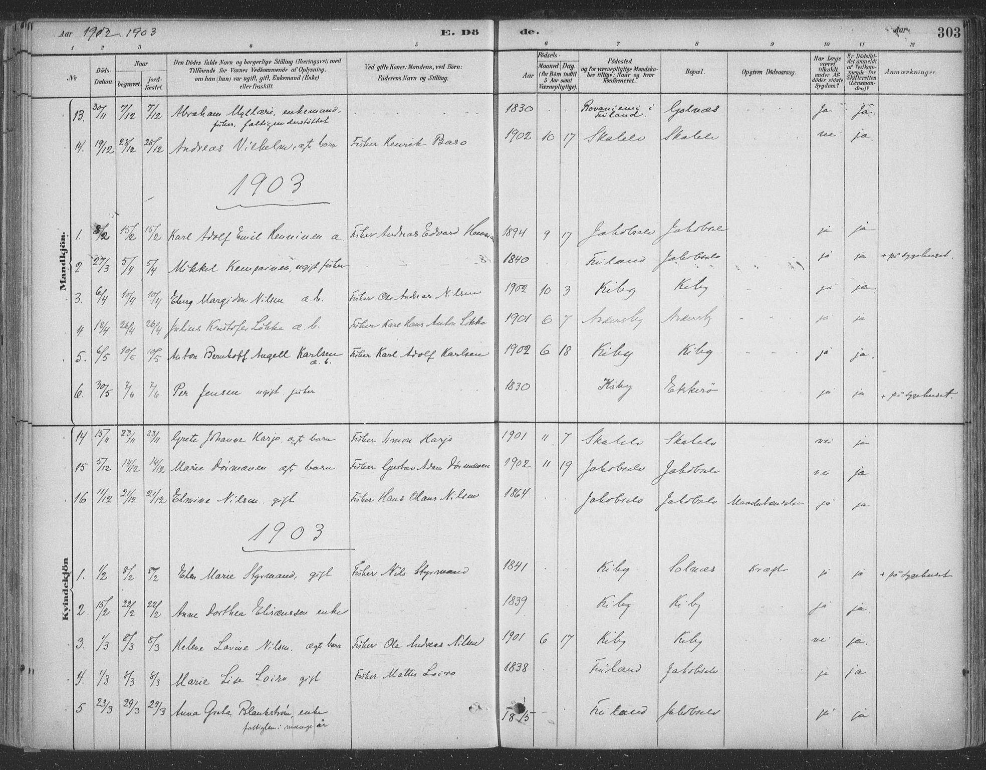 Vadsø sokneprestkontor, SATØ/S-1325/H/Ha/L0009kirke: Parish register (official) no. 9, 1881-1917, p. 303