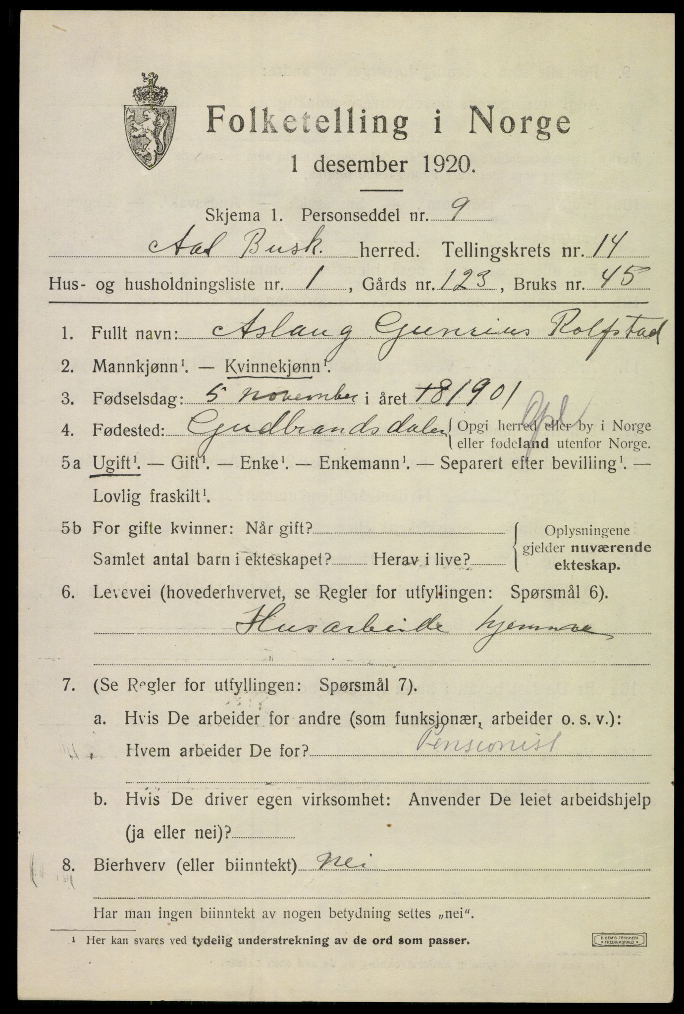 SAKO, 1920 census for Ål, 1920, p. 8082