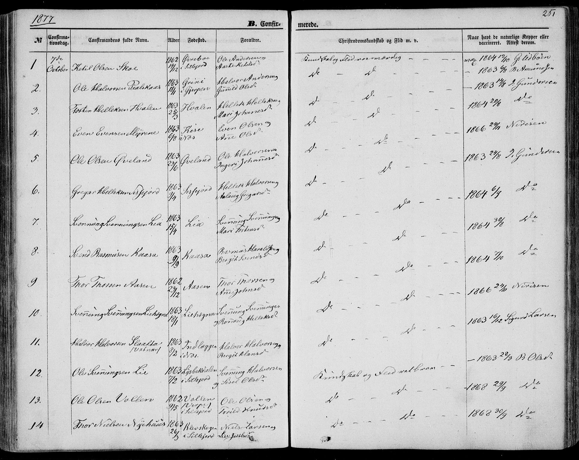 Bø kirkebøker, SAKO/A-257/F/Fa/L0009: Parish register (official) no. 9, 1862-1879, p. 251