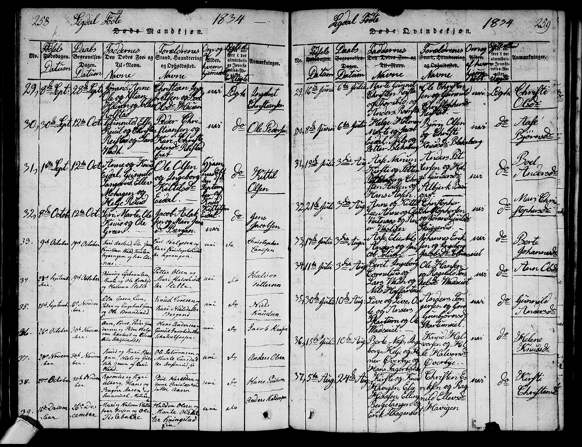 Sigdal kirkebøker, AV/SAKO-A-245/G/Ga/L0001: Parish register (copy) no. I 1 /1, 1816-1835, p. 258-259