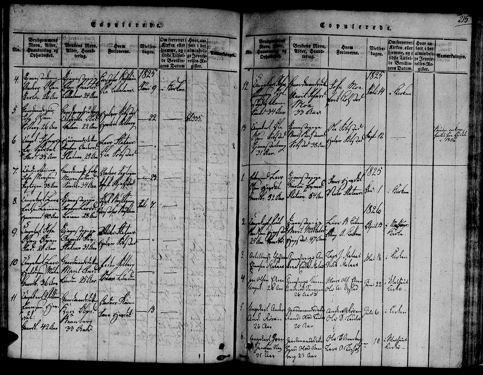 Ministerialprotokoller, klokkerbøker og fødselsregistre - Sør-Trøndelag, SAT/A-1456/691/L1067: Parish register (official) no. 691A03 /3, 1816-1826, p. 215