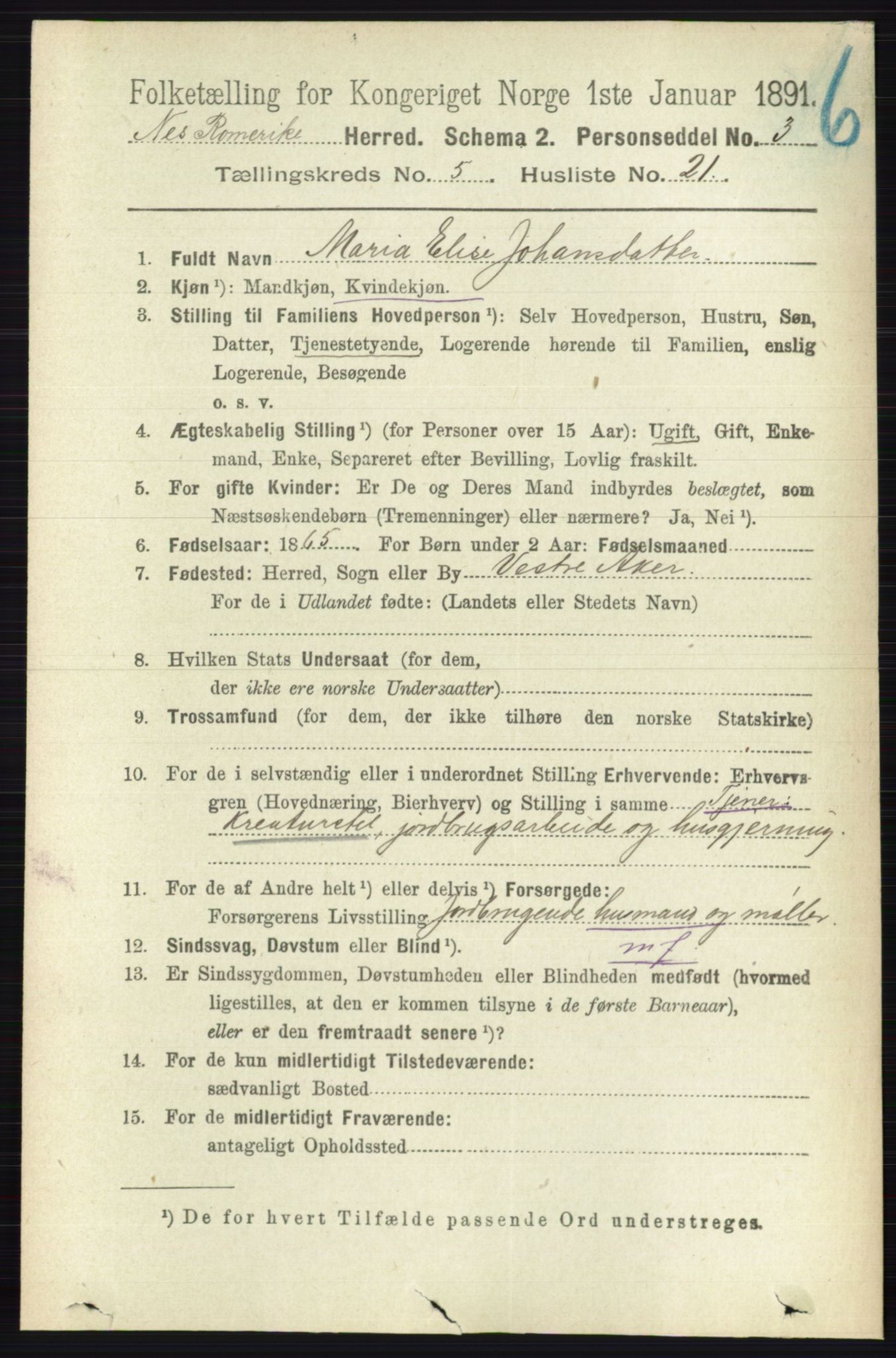 RA, 1891 census for 0236 Nes, 1891, p. 2907