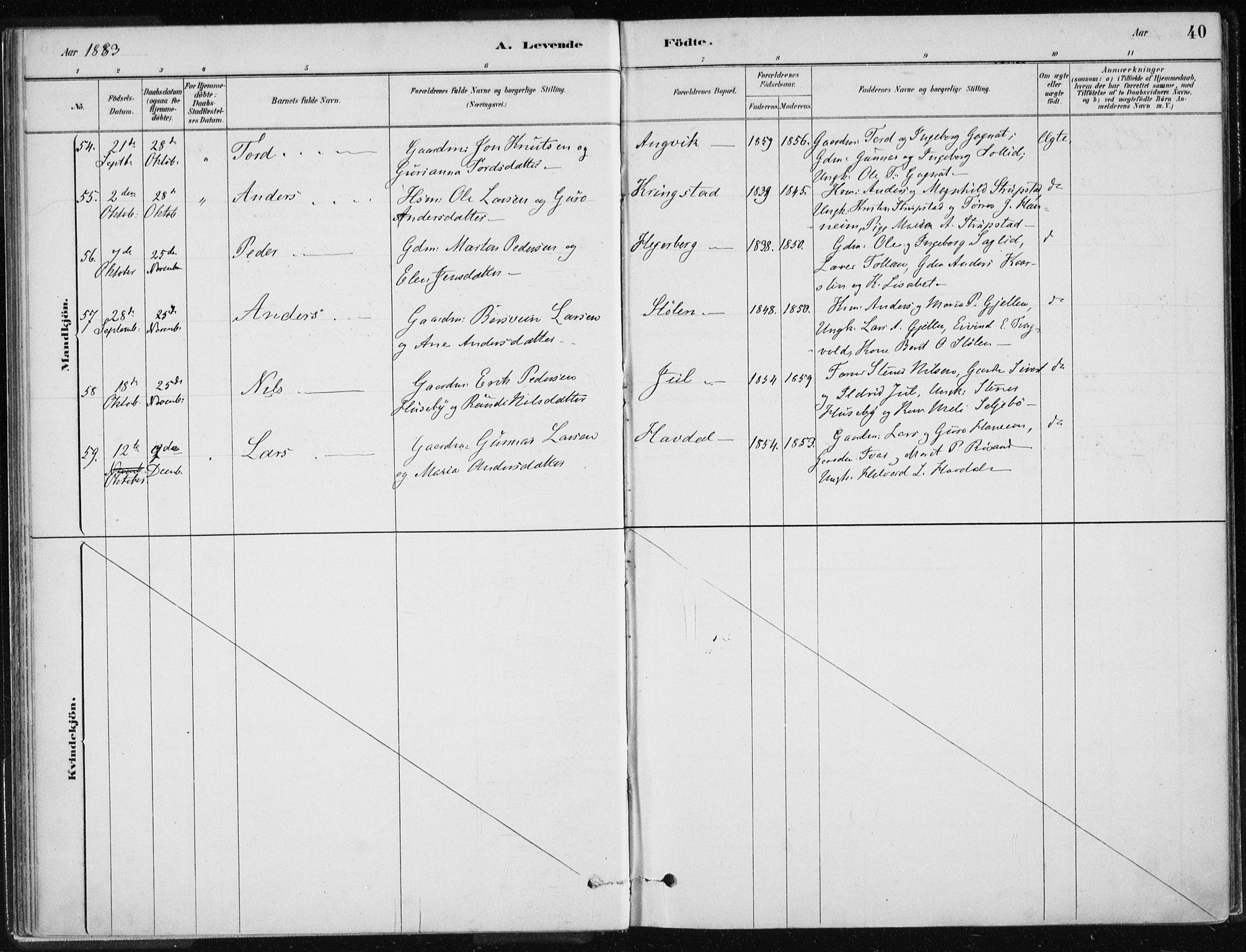 Ministerialprotokoller, klokkerbøker og fødselsregistre - Møre og Romsdal, AV/SAT-A-1454/586/L0987: Parish register (official) no. 586A13, 1879-1892, p. 40