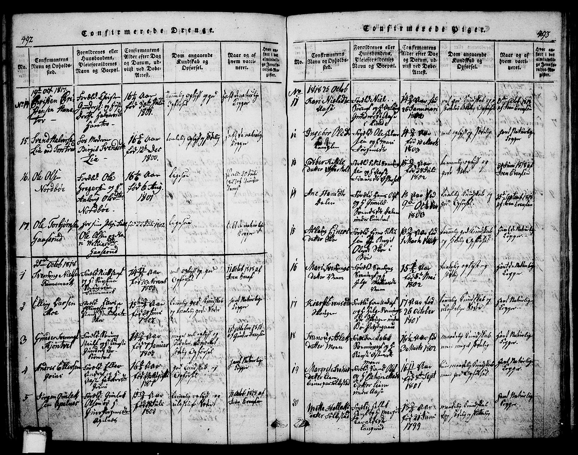 Bø kirkebøker, SAKO/A-257/G/Ga/L0001: Parish register (copy) no. 1, 1815-1831, p. 492-493