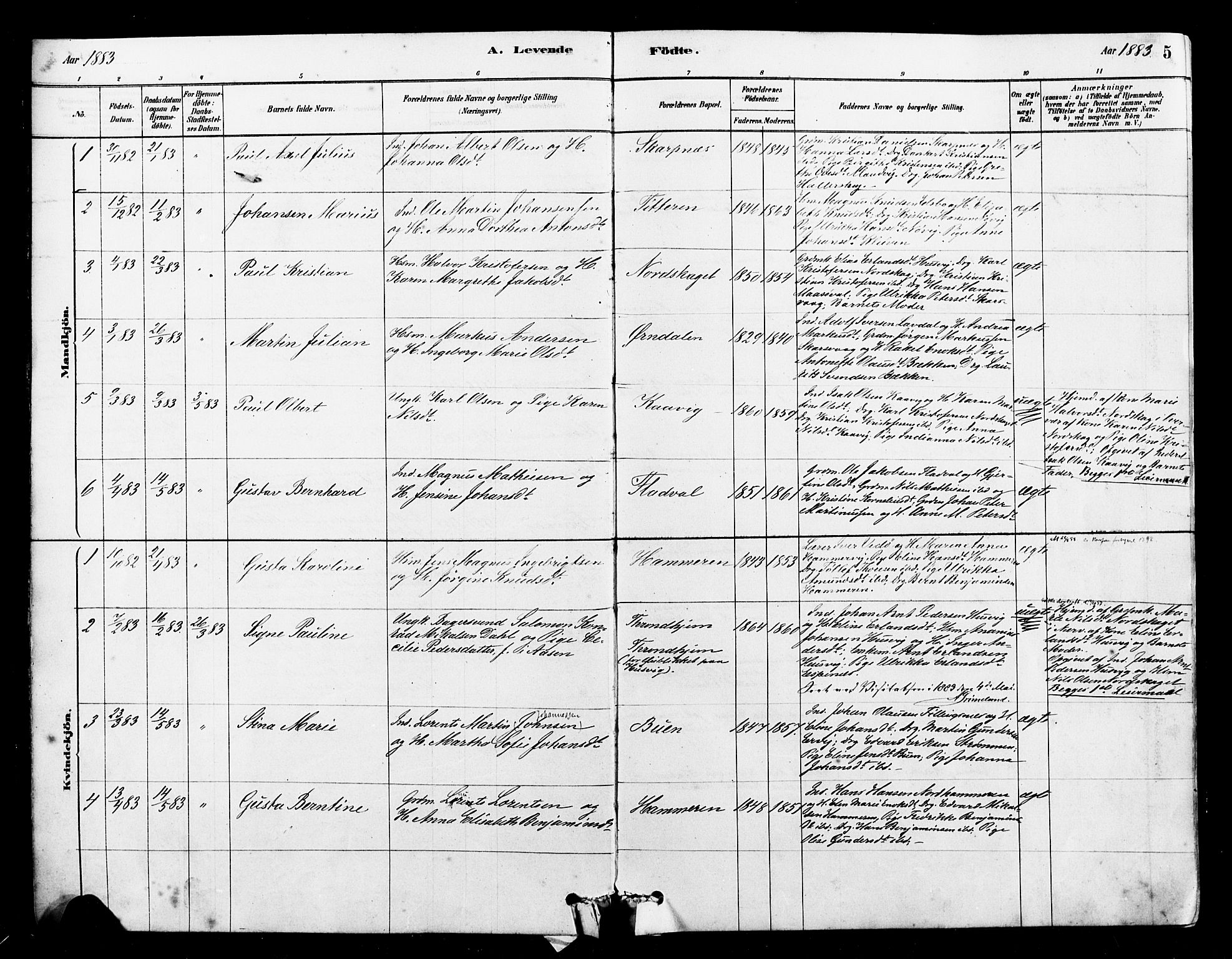 Ministerialprotokoller, klokkerbøker og fødselsregistre - Sør-Trøndelag, SAT/A-1456/641/L0595: Parish register (official) no. 641A01, 1882-1897, p. 5