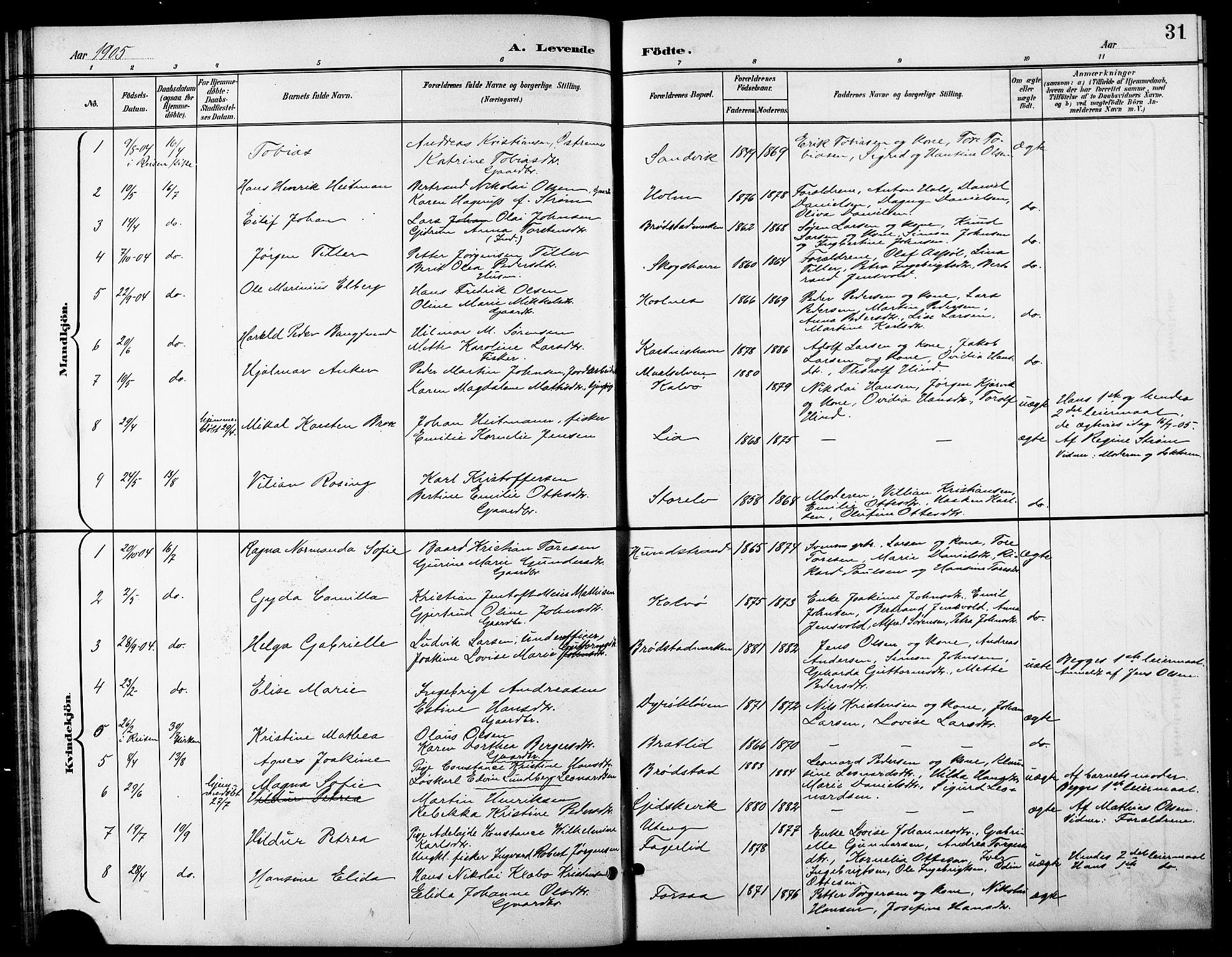 Tranøy sokneprestkontor, AV/SATØ-S-1313/I/Ia/Iab/L0014klokker: Parish register (copy) no. 14, 1896-1918, p. 31