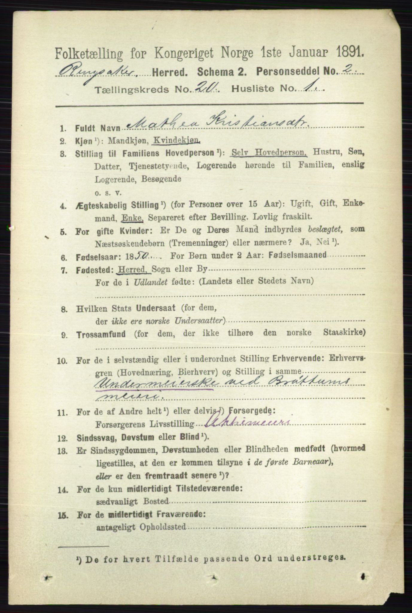 RA, 1891 census for 0412 Ringsaker, 1891, p. 11106