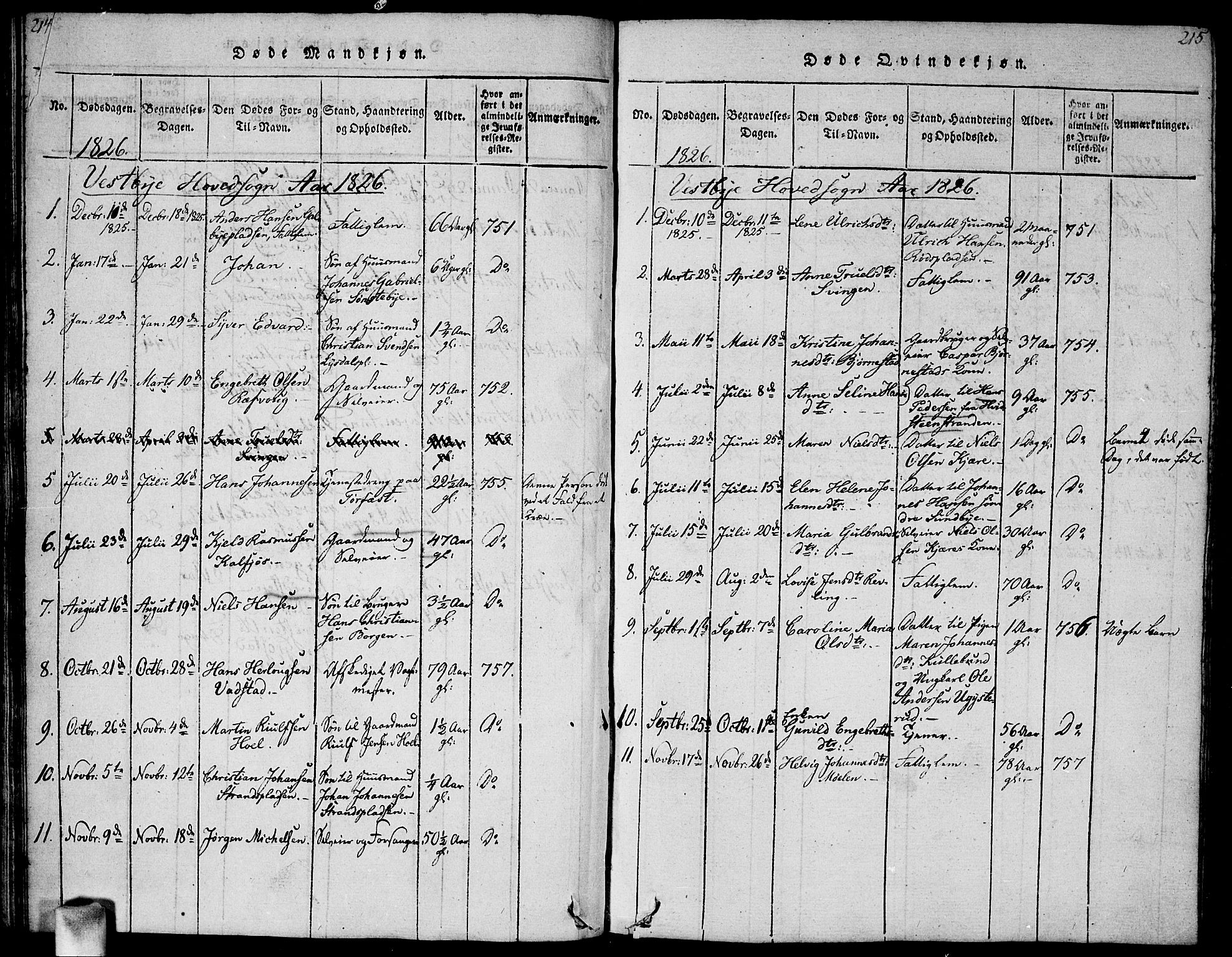 Vestby prestekontor Kirkebøker, SAO/A-10893/G/Ga/L0001: Parish register (copy) no. I 1, 1814-1827, p. 214-215
