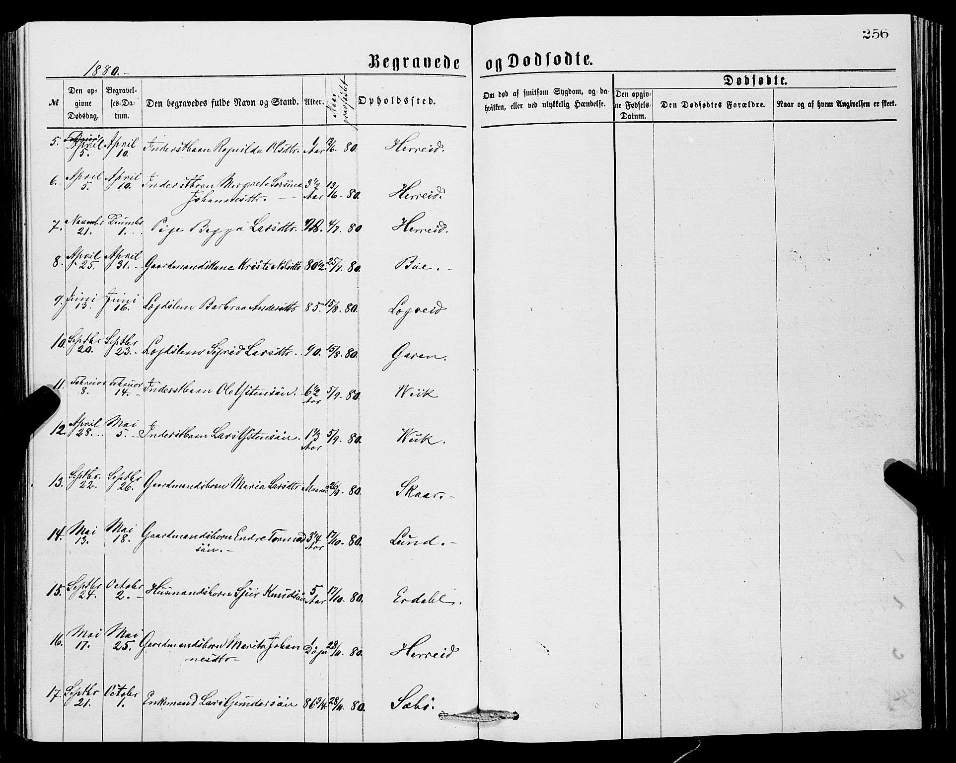 Ullensvang sokneprestembete, SAB/A-78701/H/Hab: Parish register (copy) no. C 2, 1871-1899, p. 256