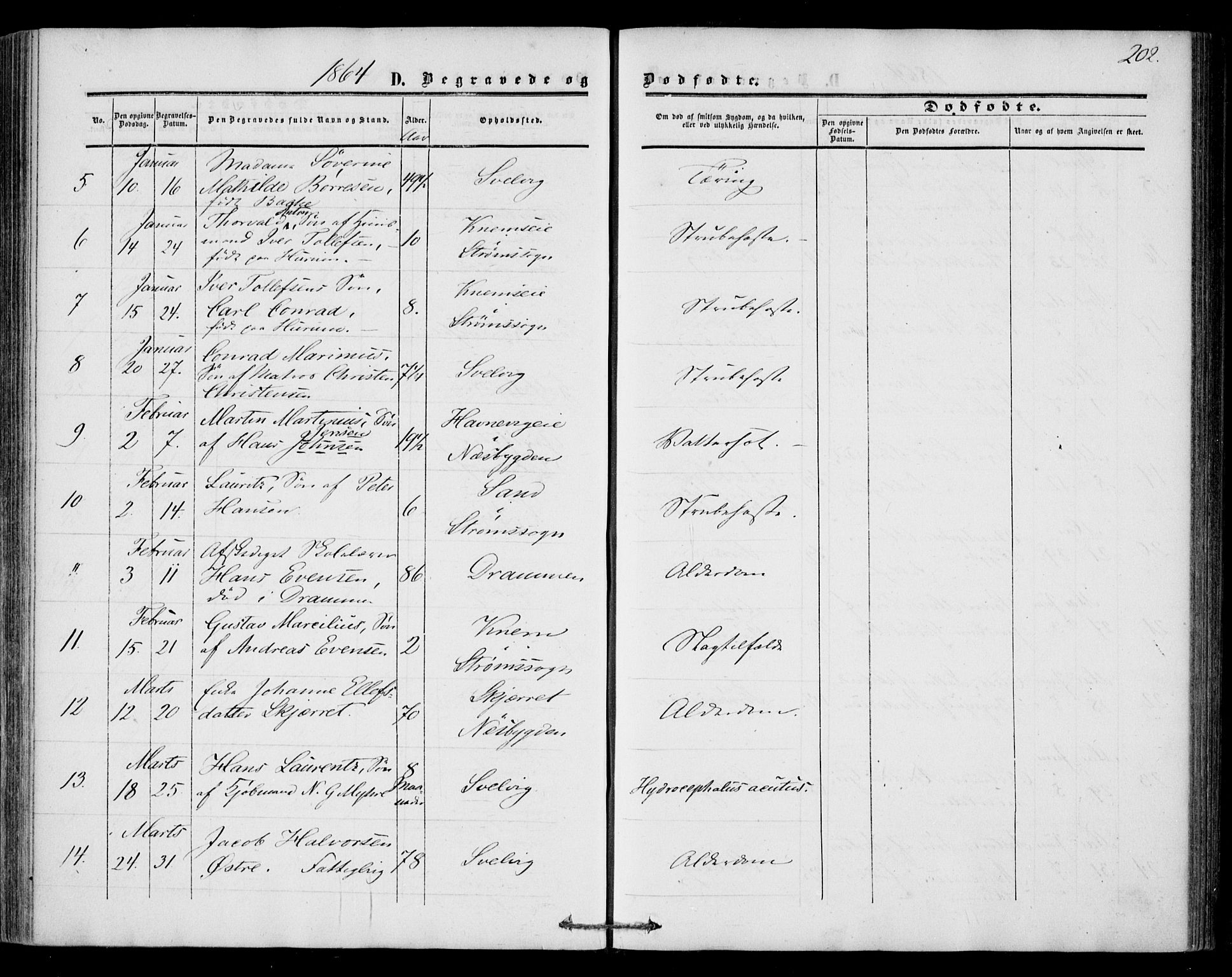 Strømm kirkebøker, AV/SAKO-A-322/F/Fa/L0001: Parish register (official) no. I 1, 1861-1869, p. 202