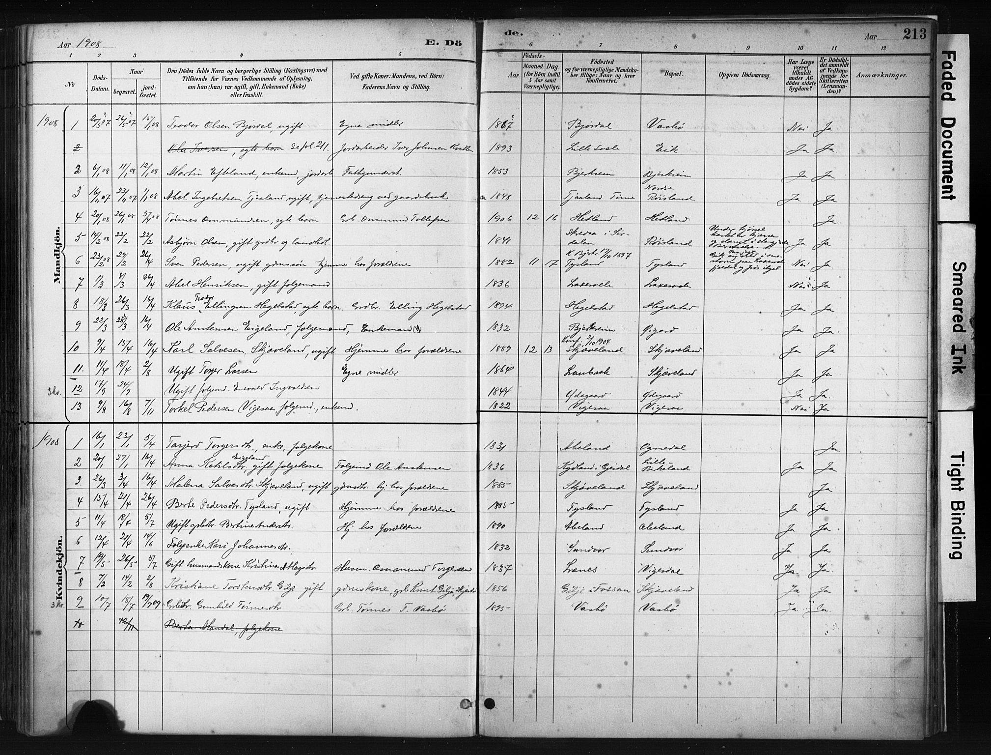 Helleland sokneprestkontor, AV/SAST-A-101810: Parish register (official) no. A 9, 1887-1908, p. 213