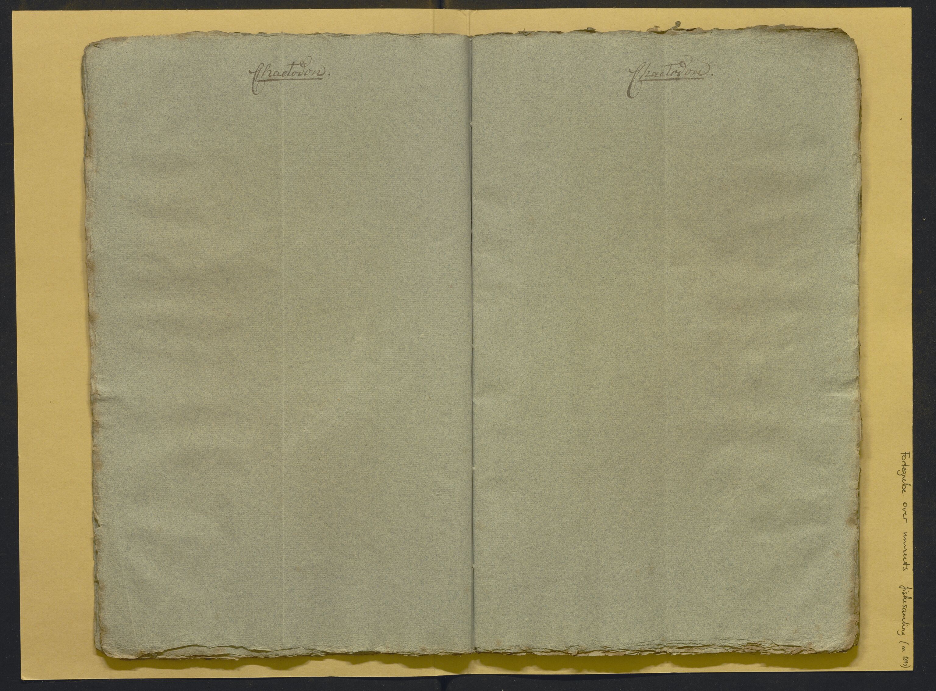 Bergens Museum, AV/SAB-A-17301/02/F/L0001: Kataloger over gjenstander og pergamentbrev , 1825-1880, p. 503