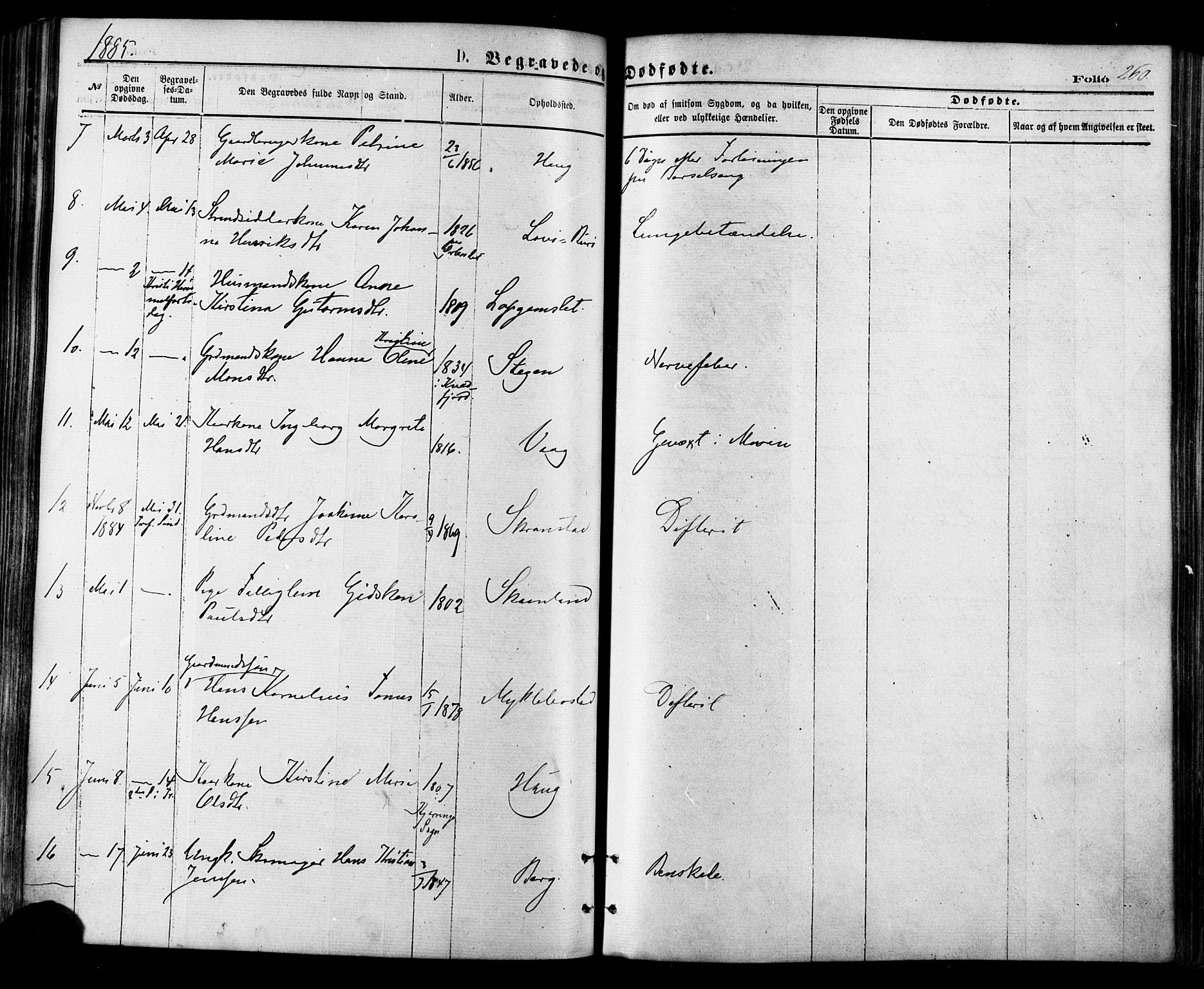 Ministerialprotokoller, klokkerbøker og fødselsregistre - Nordland, SAT/A-1459/855/L0802: Parish register (official) no. 855A10, 1875-1886, p. 260