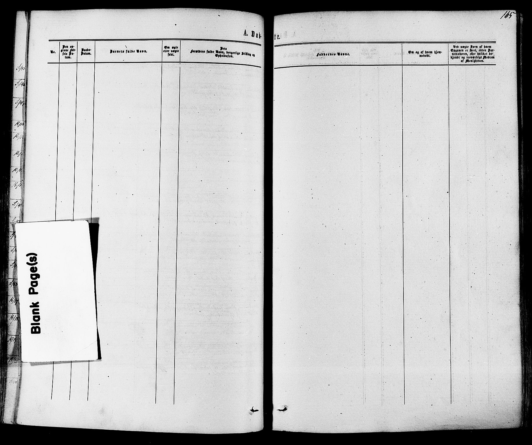 Solum kirkebøker, SAKO/A-306/F/Fa/L0008: Parish register (official) no. I 8, 1865-1876, p. 165
