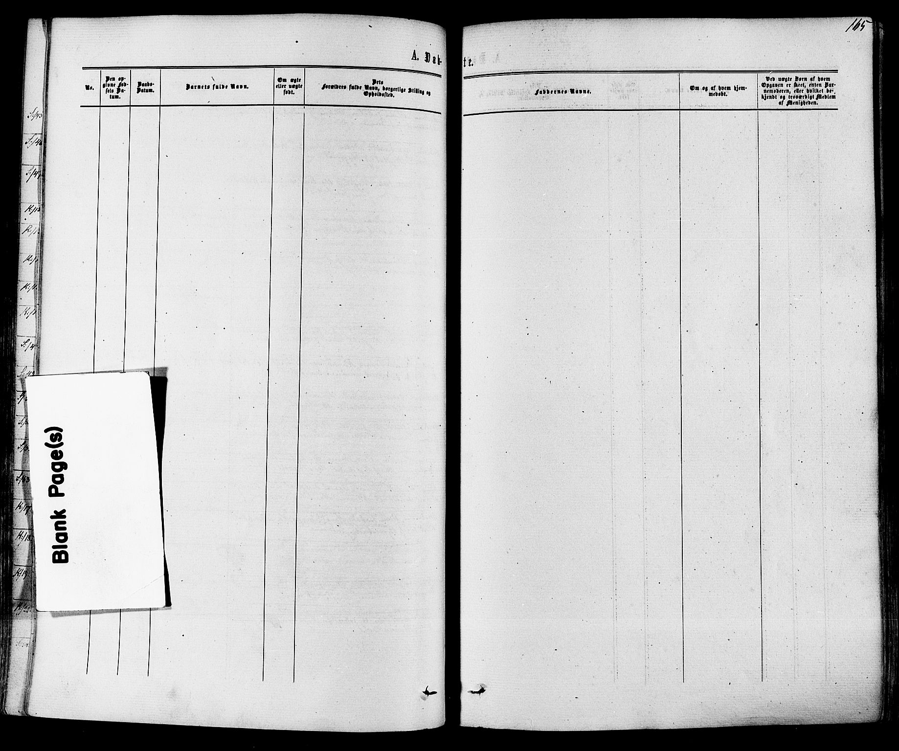 Solum kirkebøker, AV/SAKO-A-306/F/Fa/L0008: Parish register (official) no. I 8, 1865-1876, p. 165