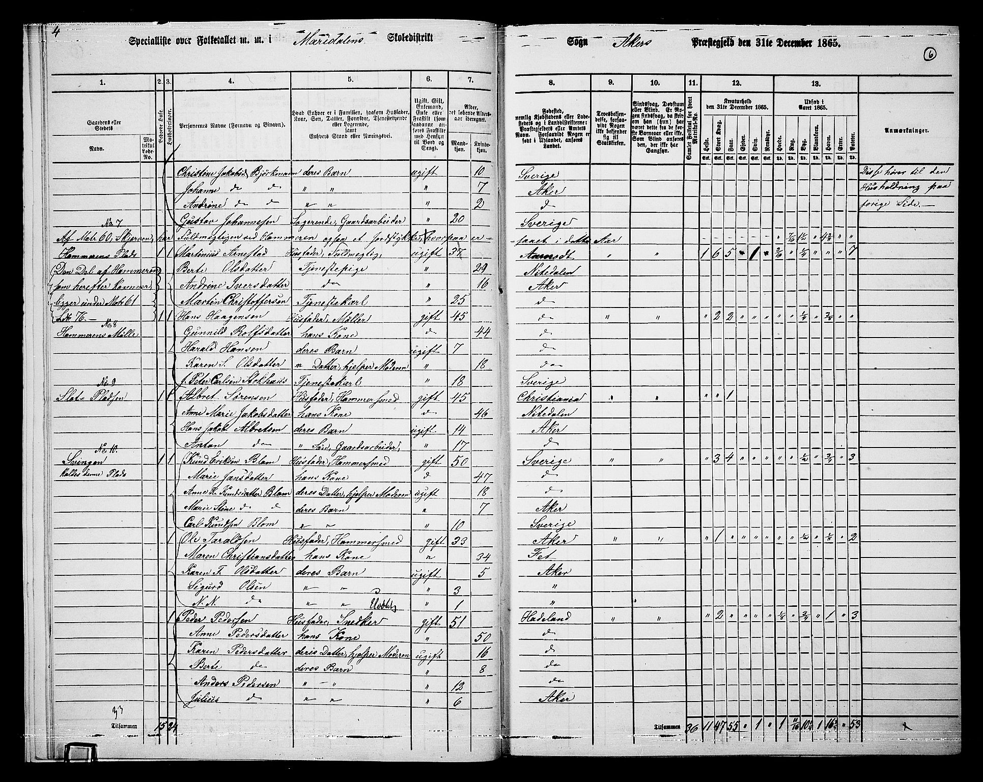 RA, 1865 census for Vestre Aker, 1865, p. 190