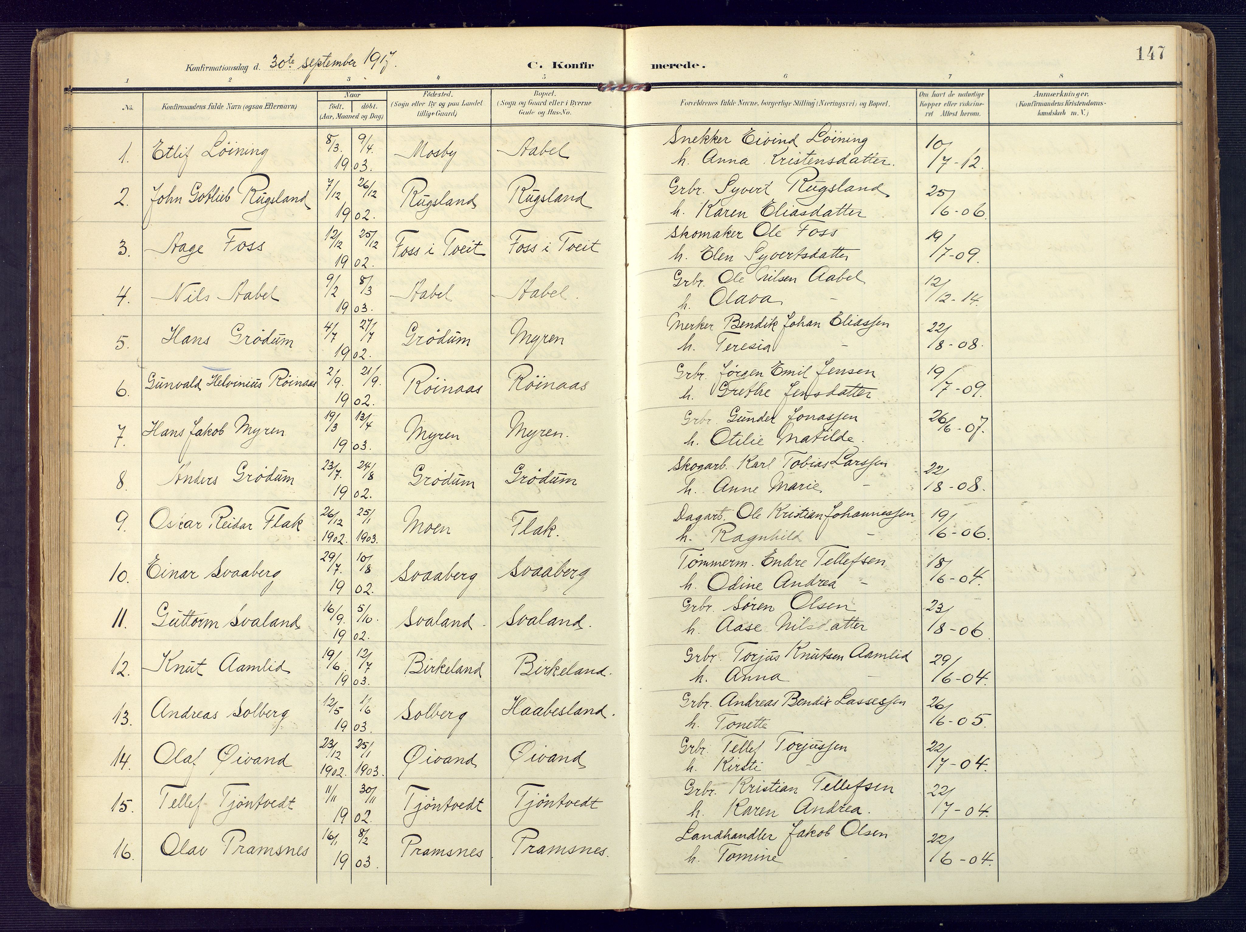 Birkenes sokneprestkontor, SAK/1111-0004/F/Fa/L0006: Parish register (official) no. A 6, 1908-1932, p. 147