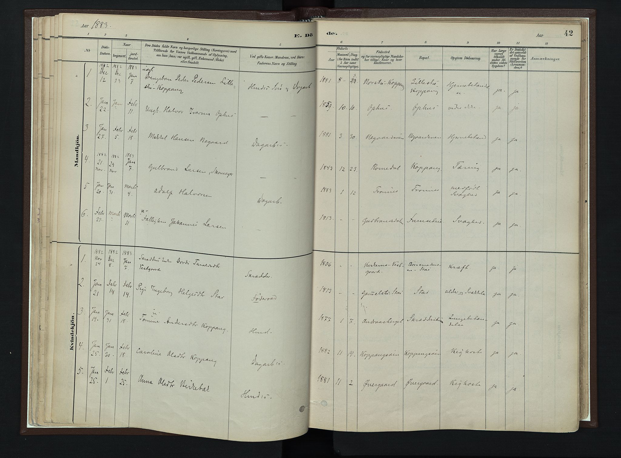 Stor-Elvdal prestekontor, AV/SAH-PREST-052/H/Ha/Haa/L0003: Parish register (official) no. 3, 1882-1901, p. 42