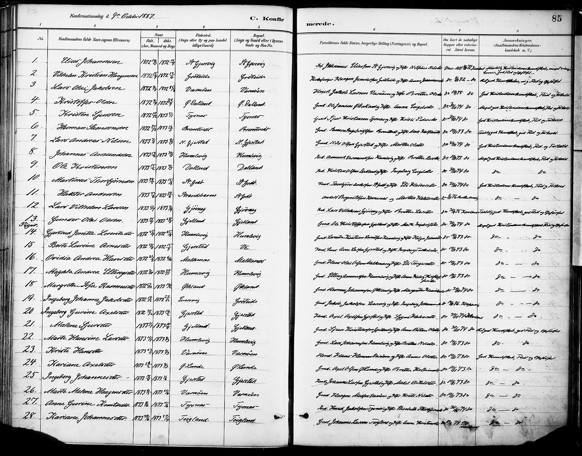 Tysnes sokneprestembete, SAB/A-78601/H/Haa: Parish register (official) no. B 1, 1887-1906, p. 85