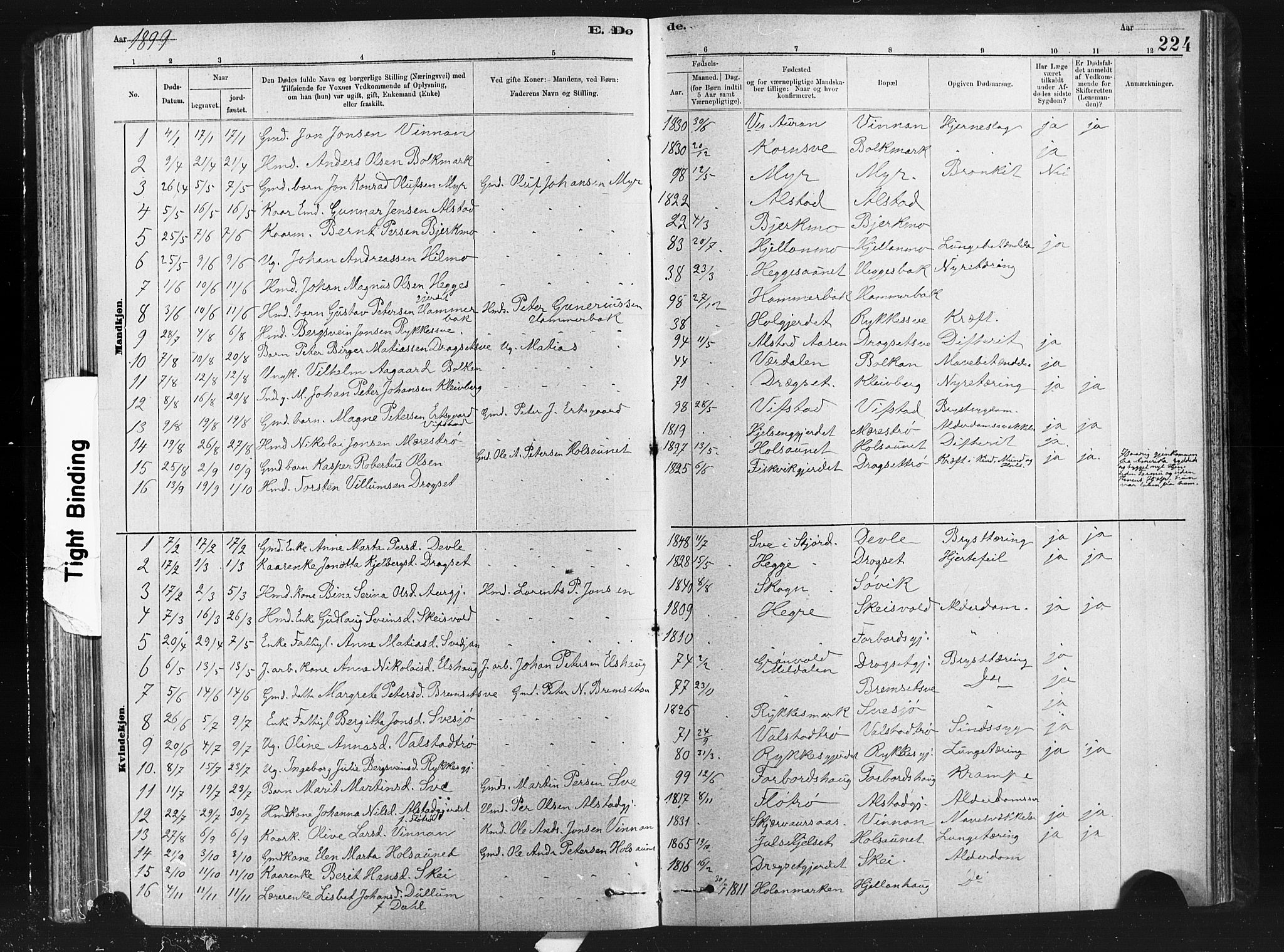 Ministerialprotokoller, klokkerbøker og fødselsregistre - Nord-Trøndelag, SAT/A-1458/712/L0103: Parish register (copy) no. 712C01, 1878-1917, p. 224