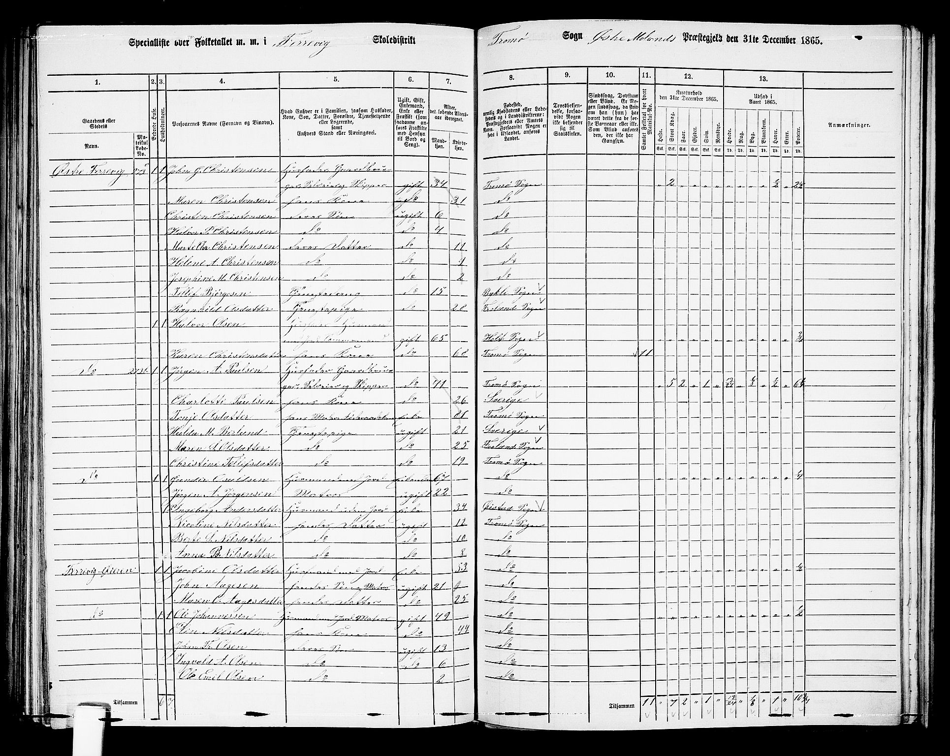 RA, 1865 census for Austre Moland, 1865, p. 254