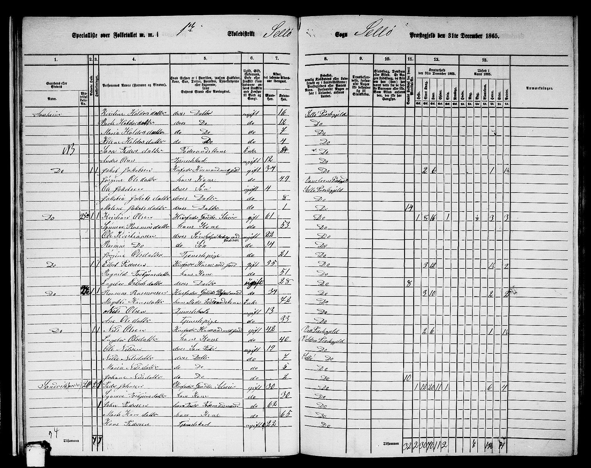 RA, 1865 census for Selje, 1865, p. 23