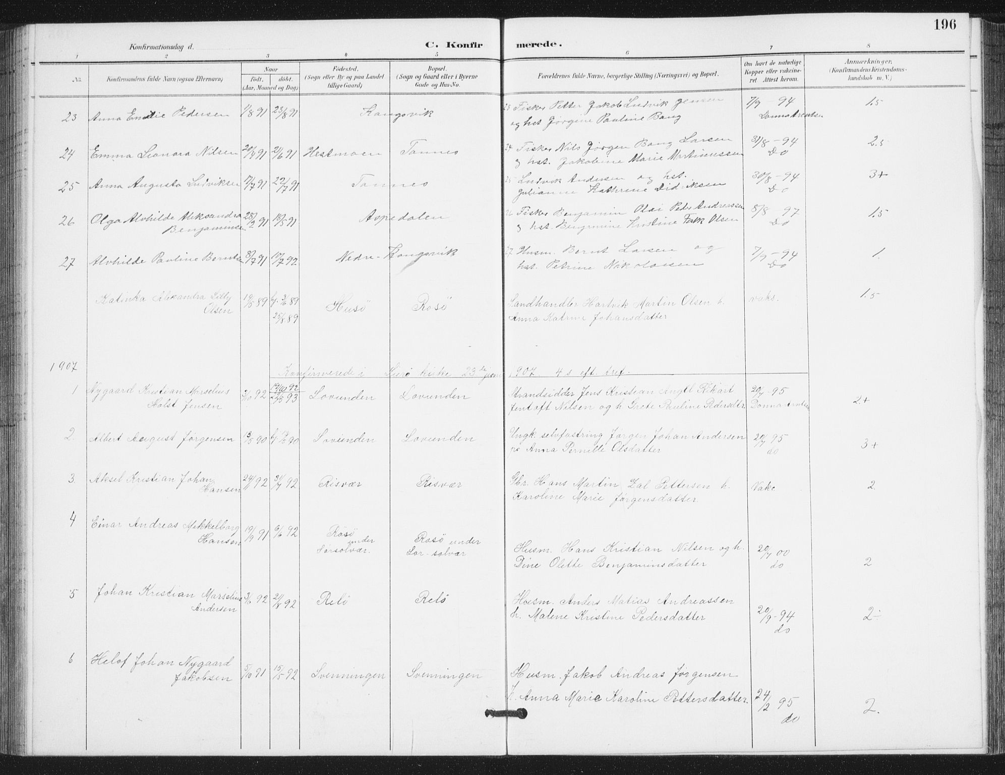 Ministerialprotokoller, klokkerbøker og fødselsregistre - Nordland, SAT/A-1459/839/L0573: Parish register (copy) no. 839C03, 1892-1917, p. 196
