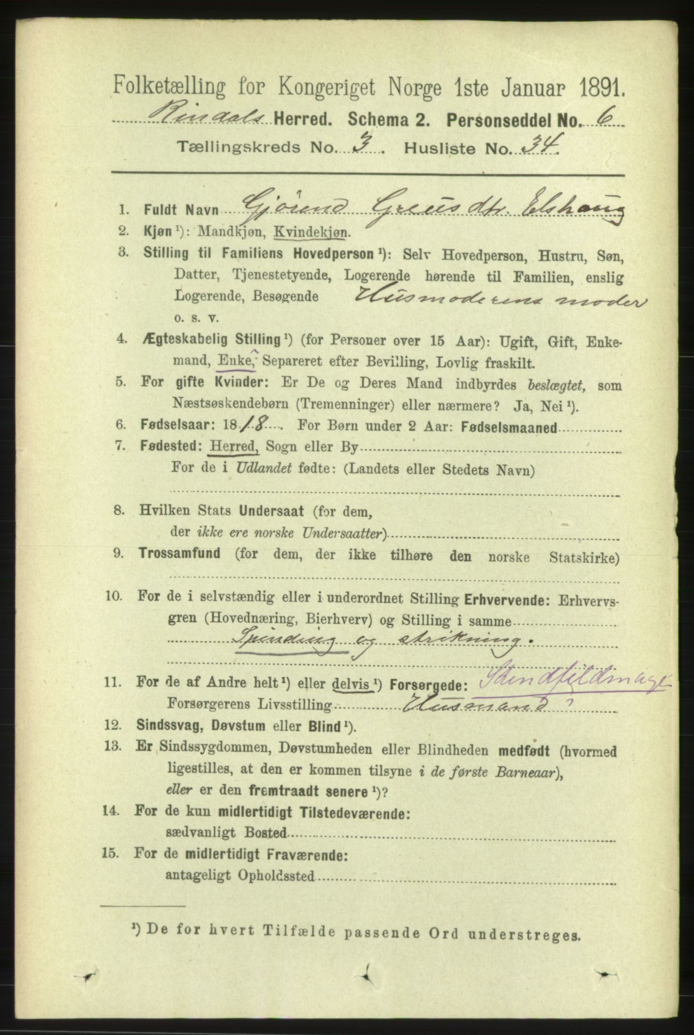 RA, 1891 census for 1567 Rindal, 1891, p. 917