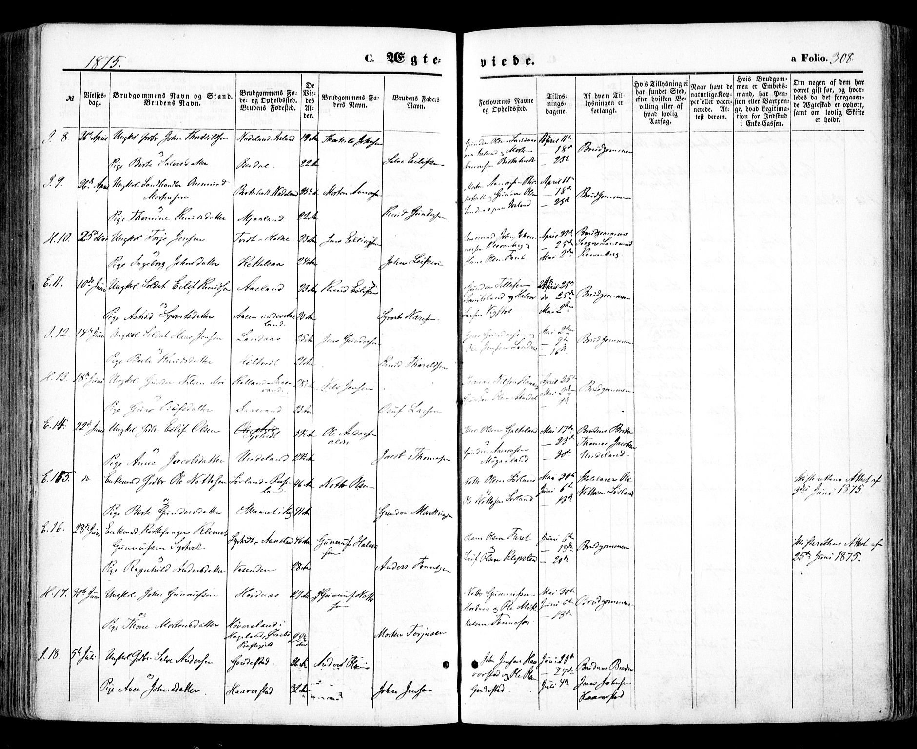 Evje sokneprestkontor, AV/SAK-1111-0008/F/Fa/Faa/L0006: Parish register (official) no. A 6, 1866-1884, p. 308