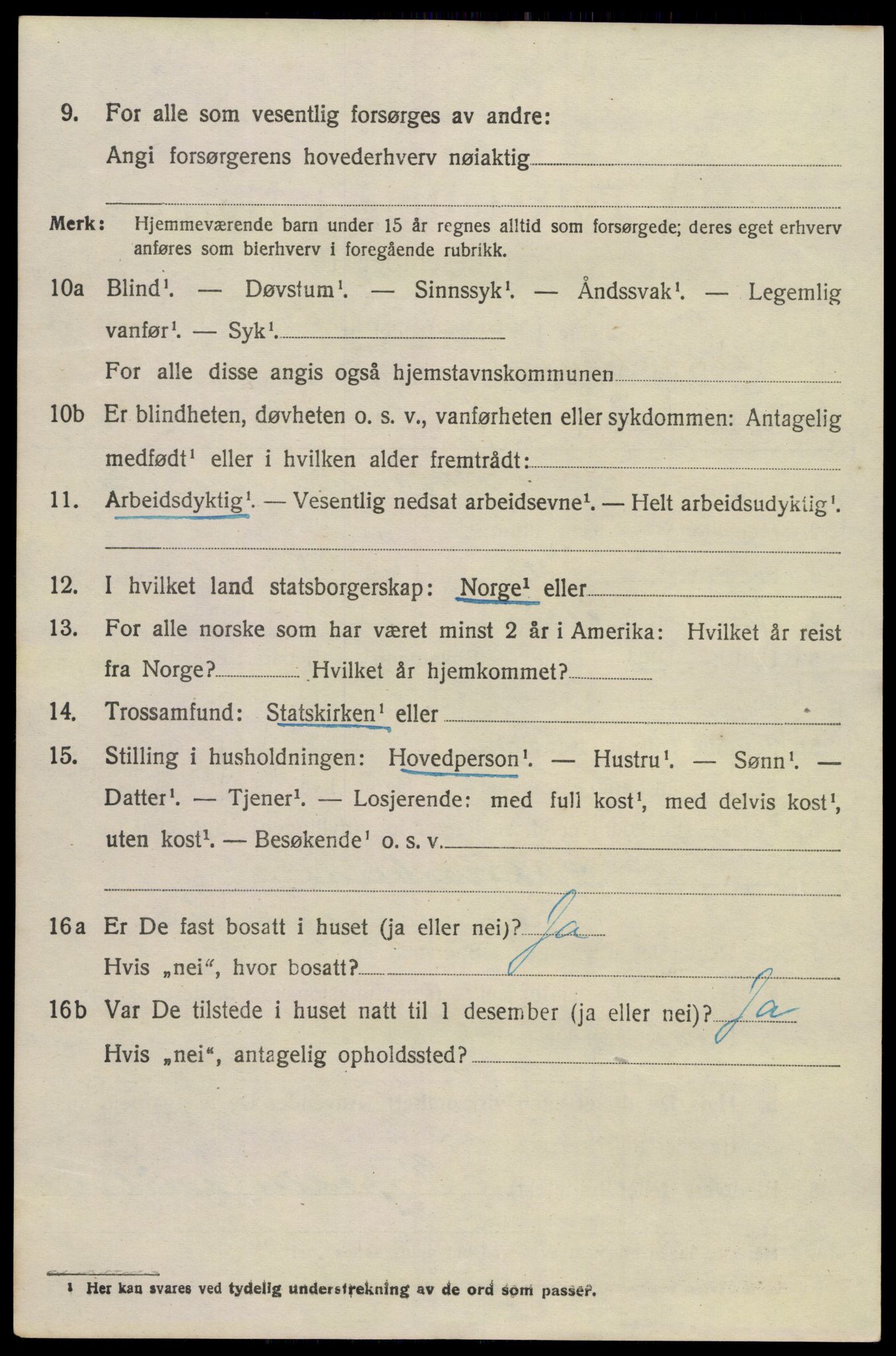 SAKO, 1920 census for Brunlanes, 1920, p. 6116