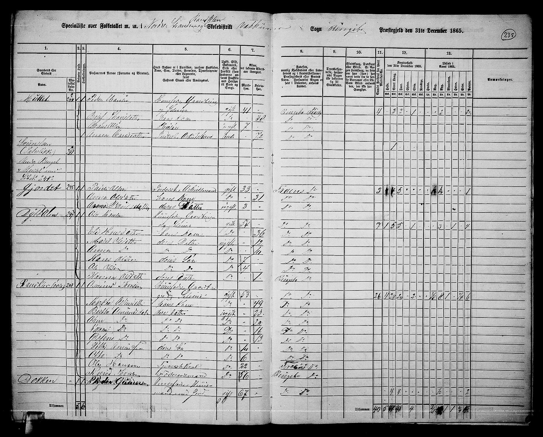 RA, 1865 census for Ringebu, 1865, p. 206