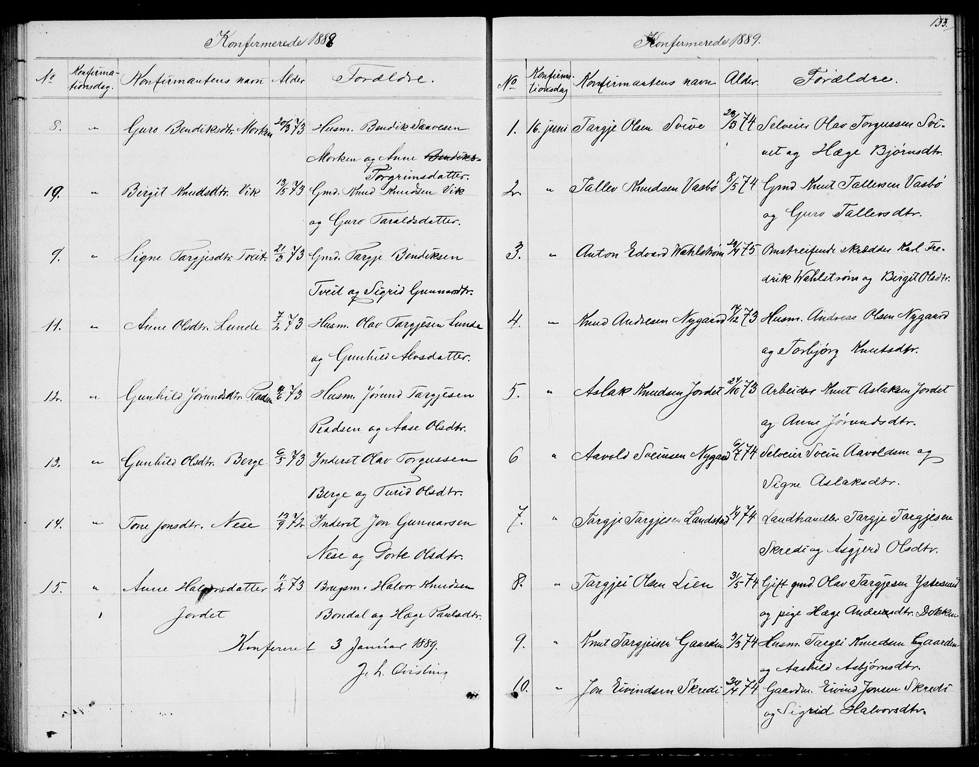 Fyresdal kirkebøker, SAKO/A-263/G/Ga/L0004: Parish register (copy) no. I 4, 1864-1892, p. 133