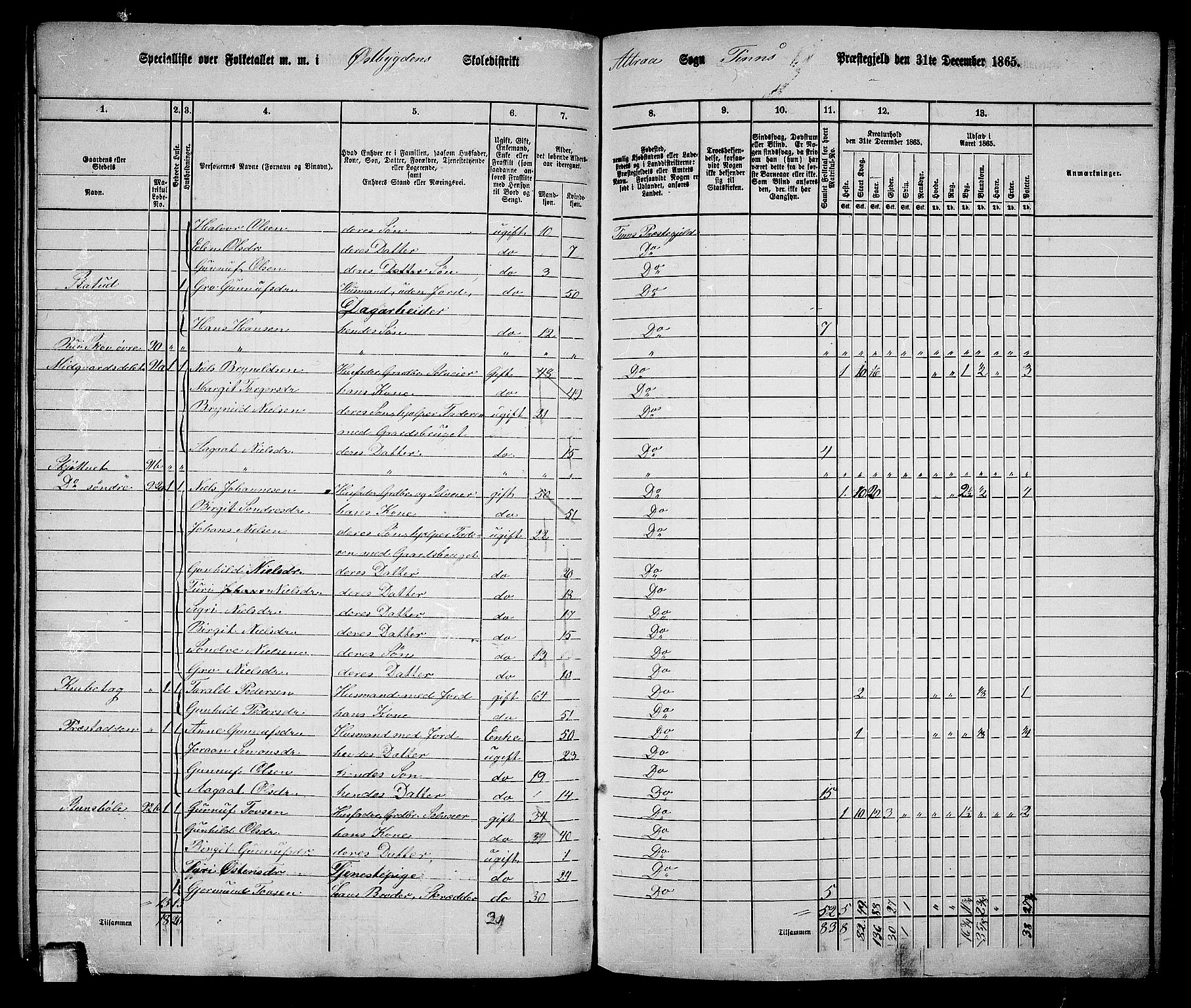 RA, 1865 census for Tinn, 1865, p. 11