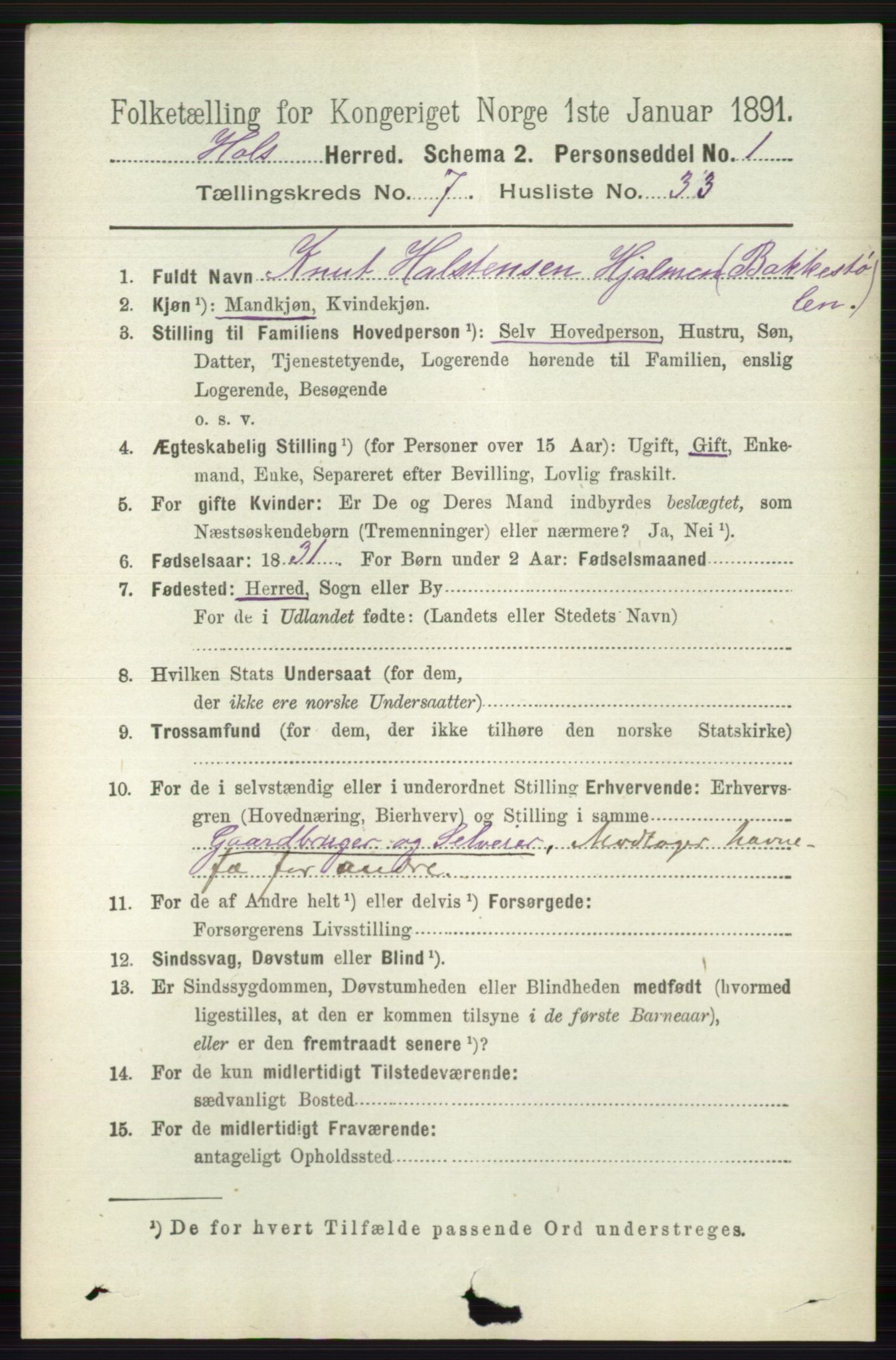 RA, 1891 census for 0620 Hol, 1891, p. 2207