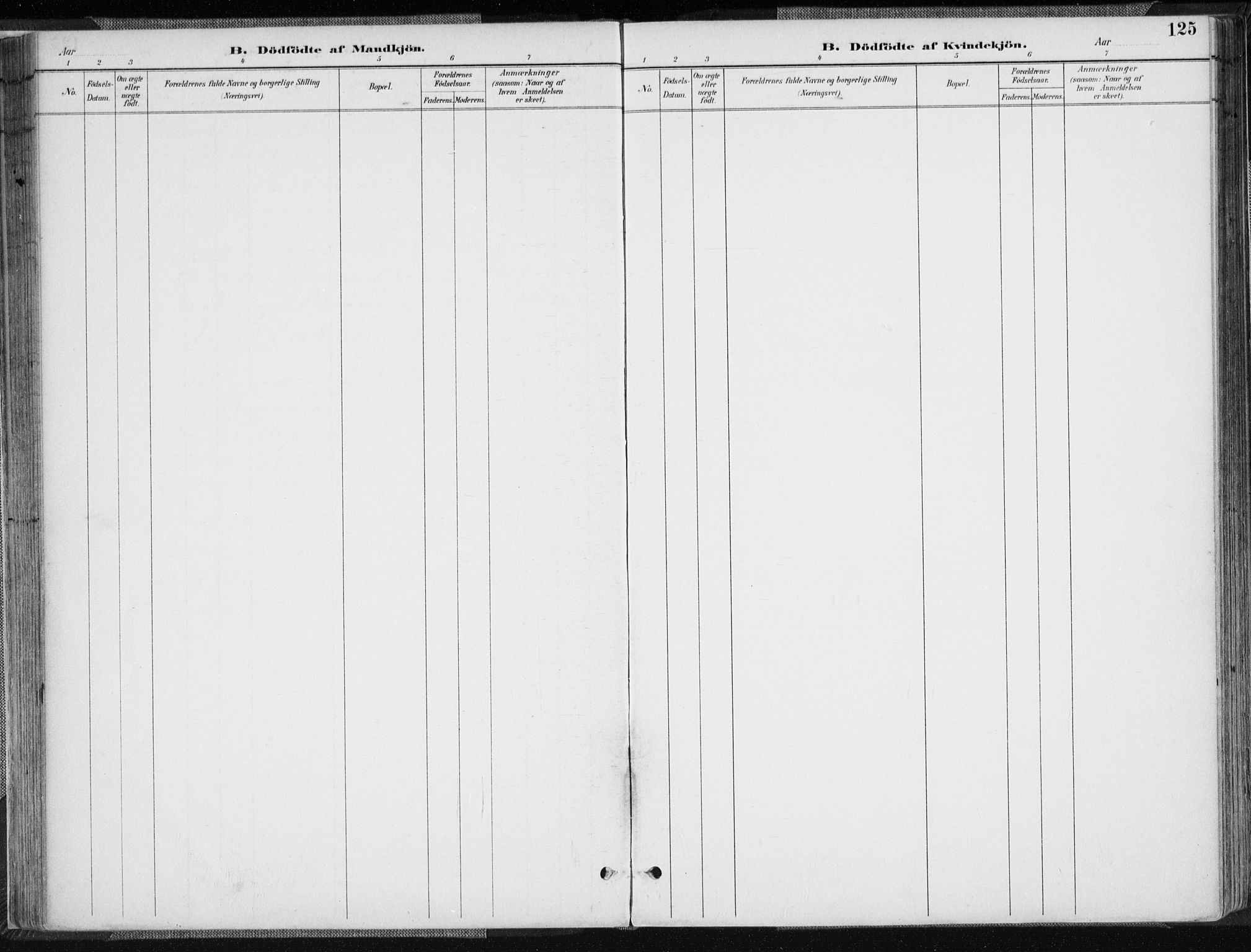 Sør-Audnedal sokneprestkontor, AV/SAK-1111-0039/F/Fa/Fab/L0010: Parish register (official) no. A 10, 1892-1913, p. 125